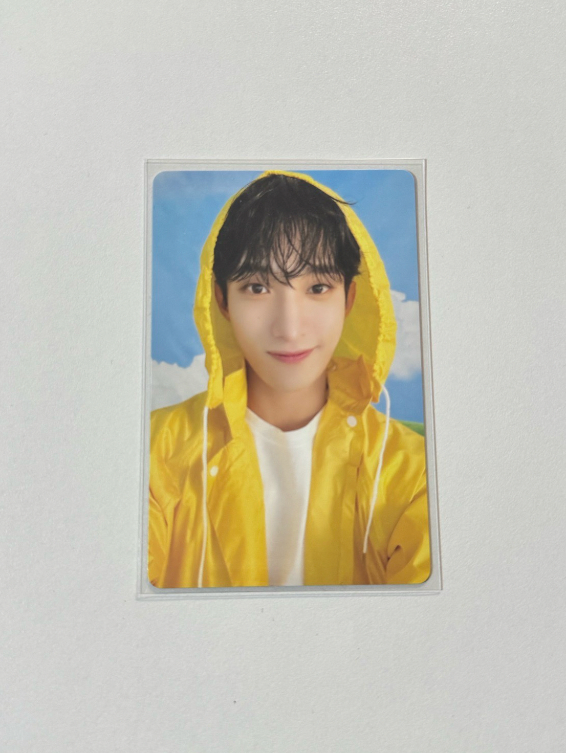 碩 MINI11 專輯卡 ｜CARAT ver.