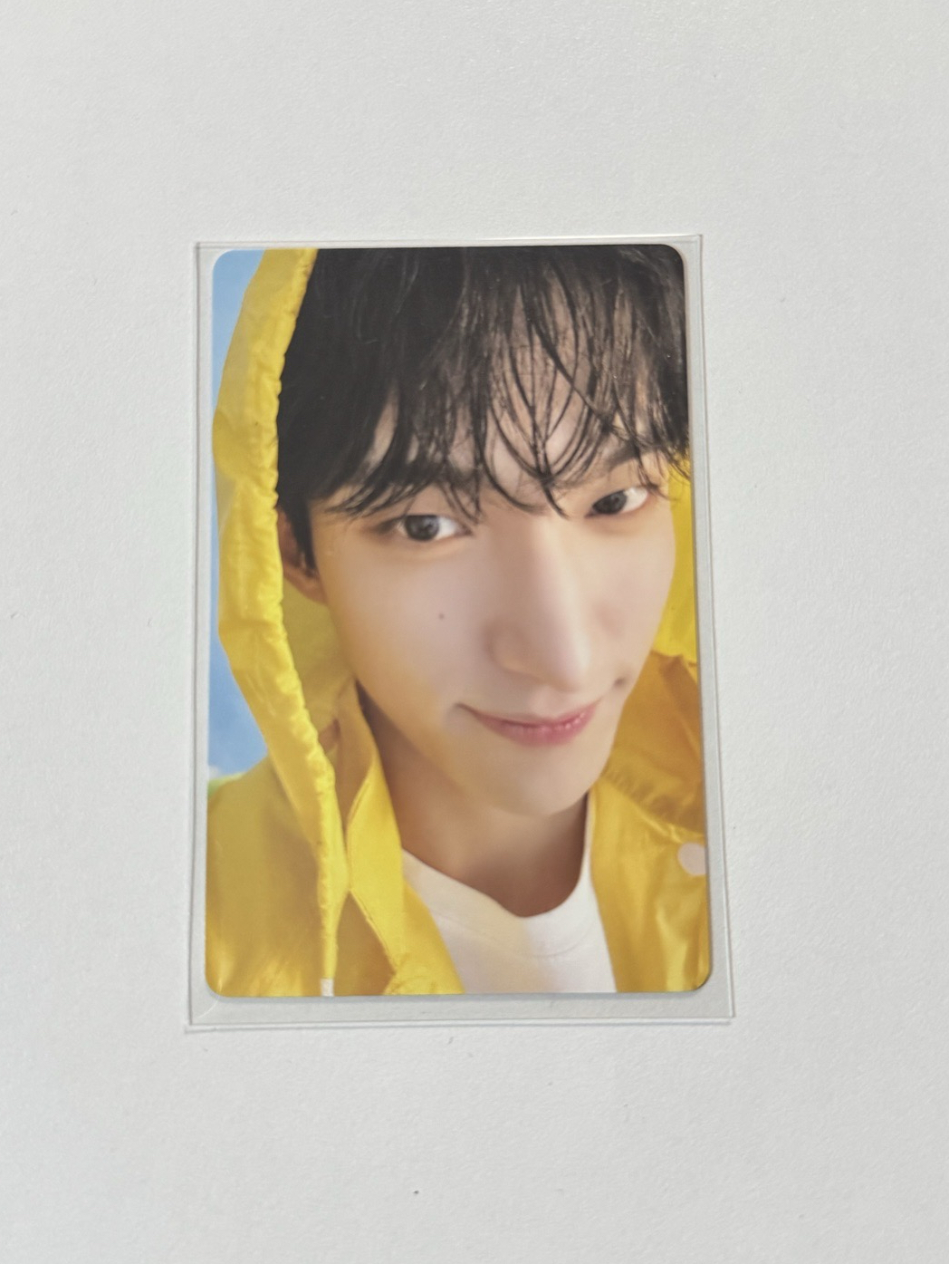 碩 MINI11 專輯卡 ｜CARAT ver.