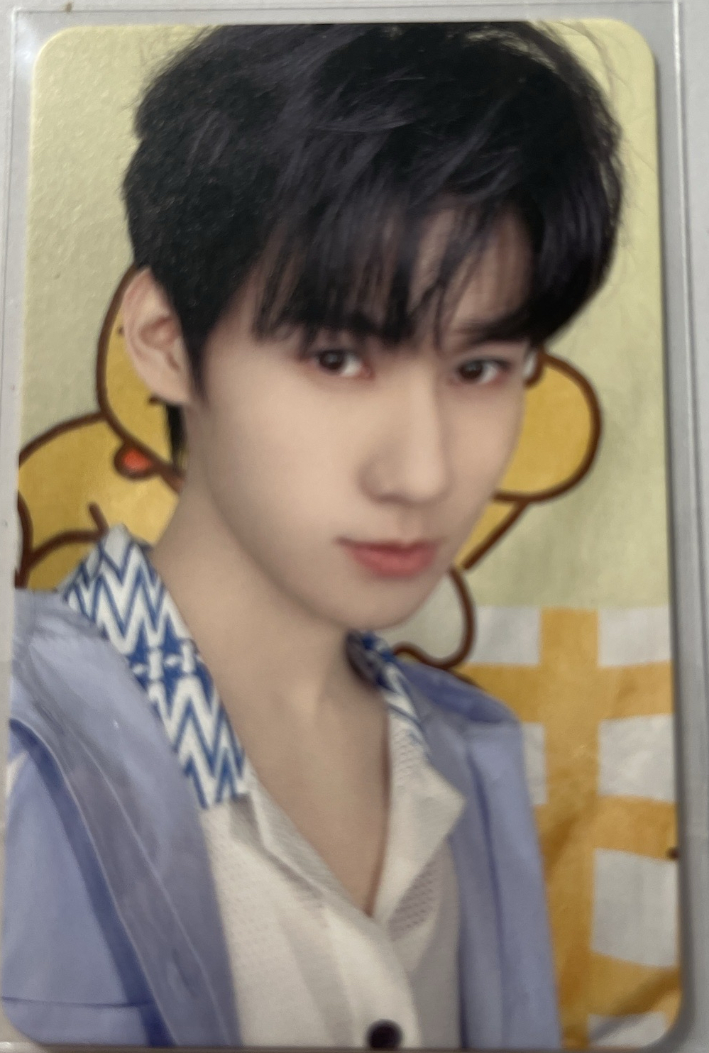 小島假日 張真源