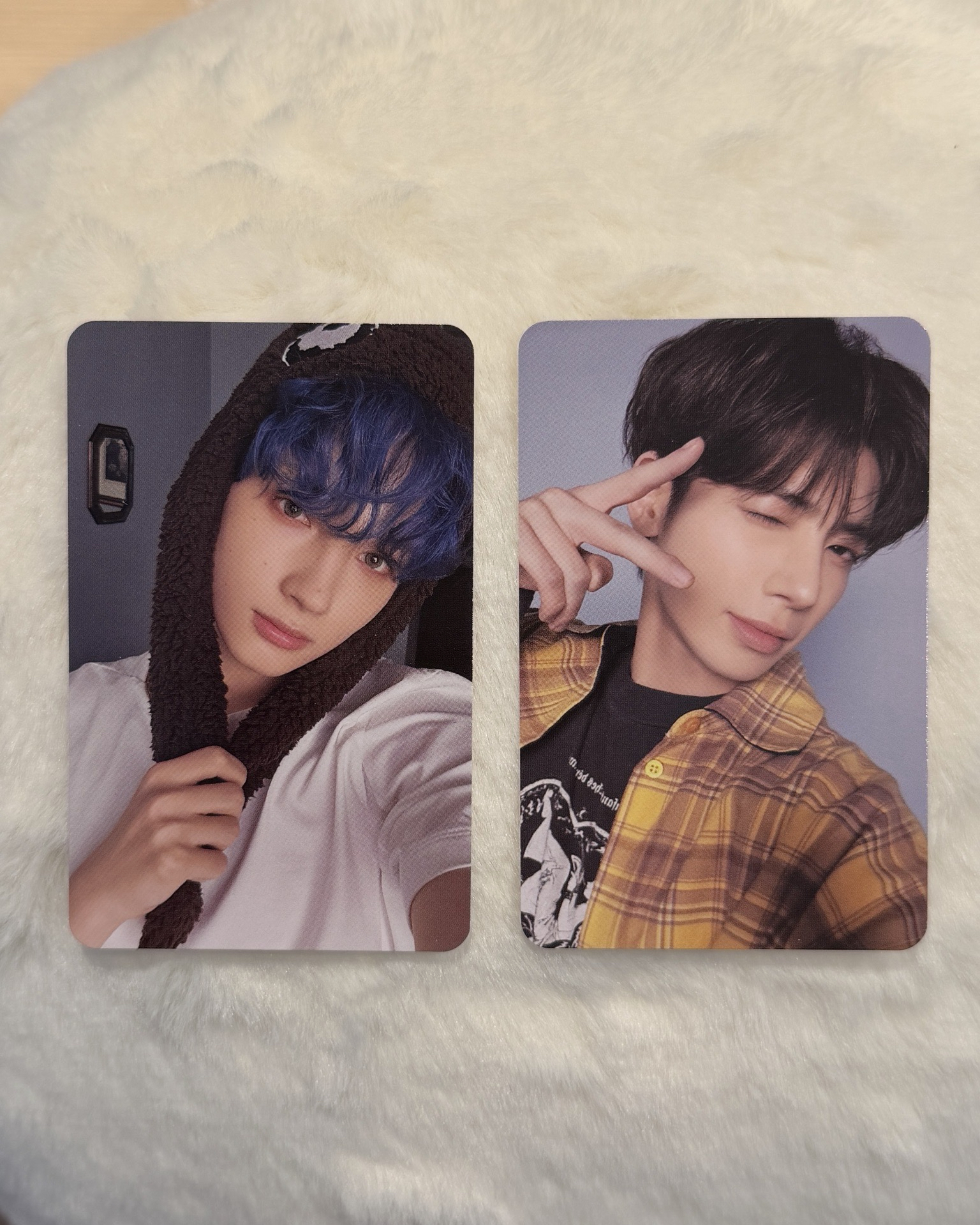 迷六 電子專B版 藍髮寧 太顯