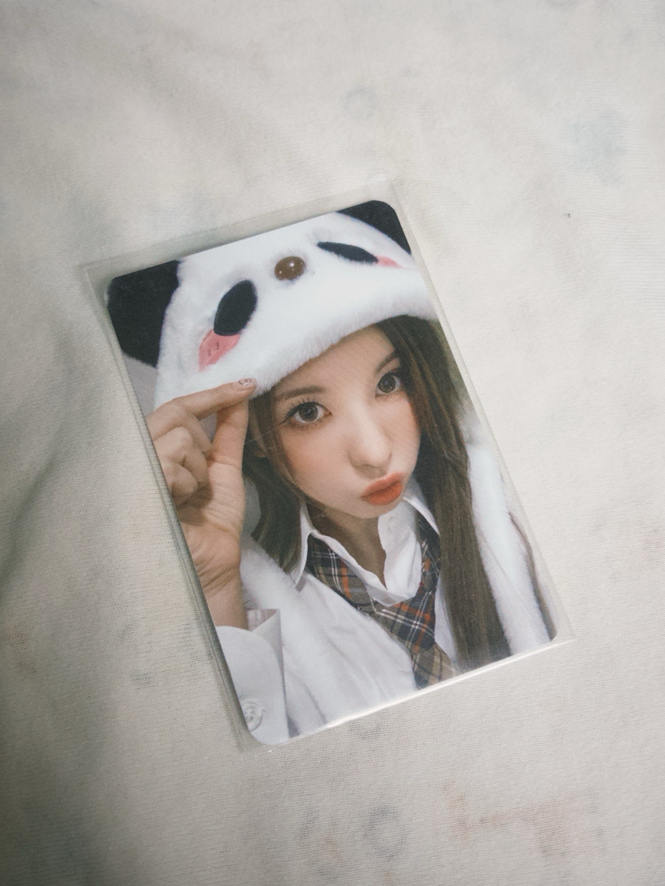 NMIXX｜中背熊貓裴