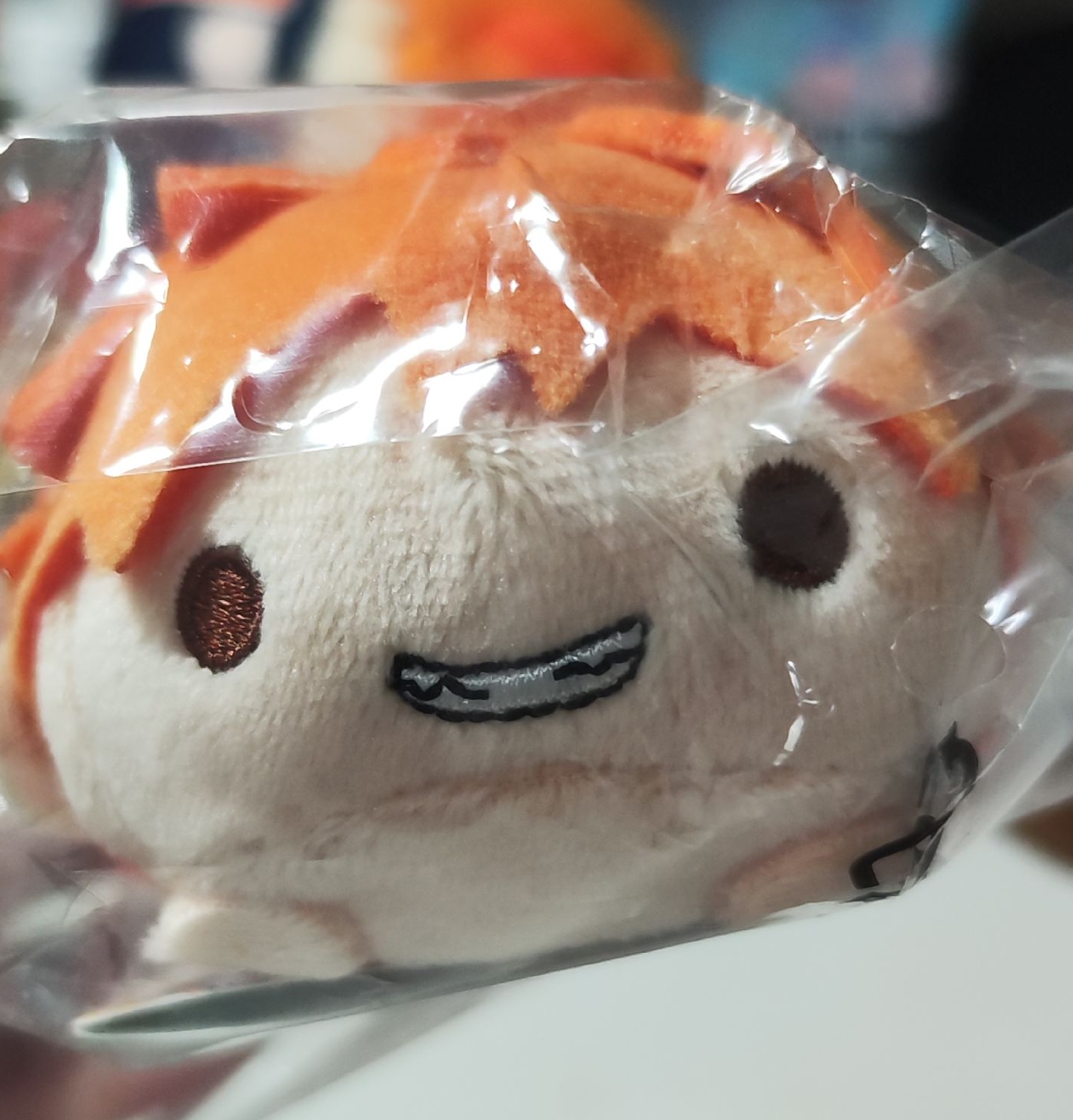 日向十週年趴娃