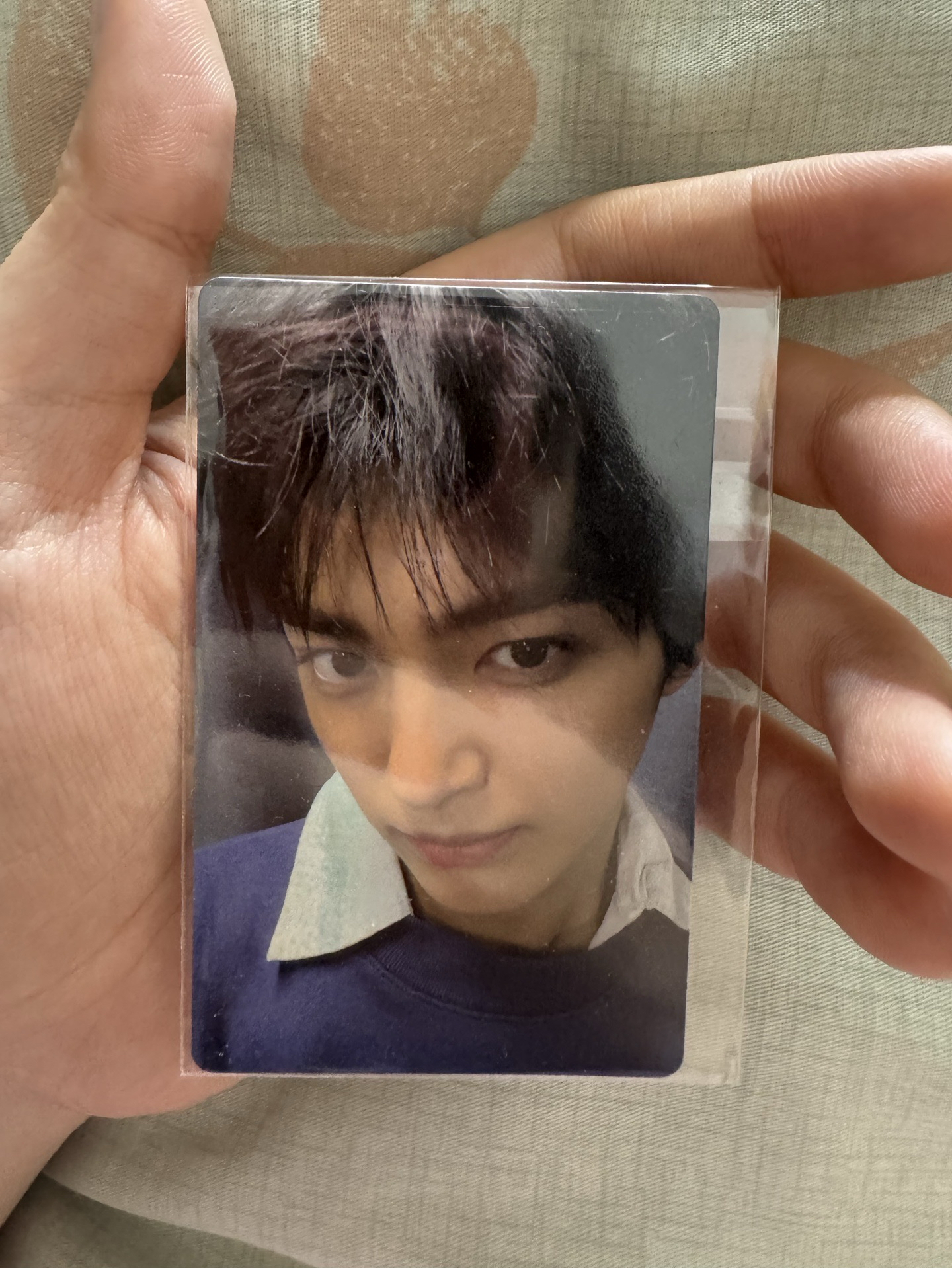 Cortis YT ST 電子專卡(安乾鎬)+PB全專*2+馬丁球專卡