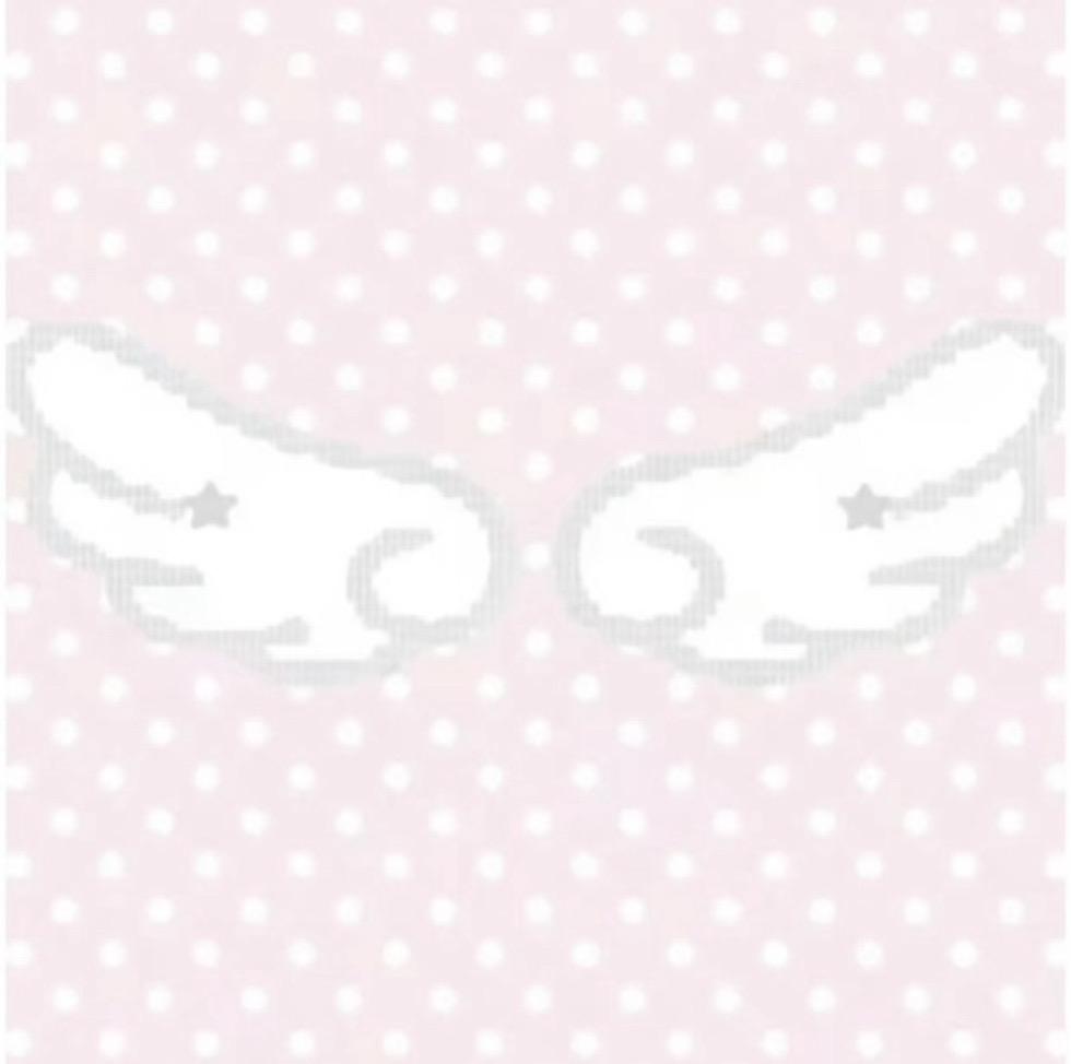 李賢瑞的大盤子