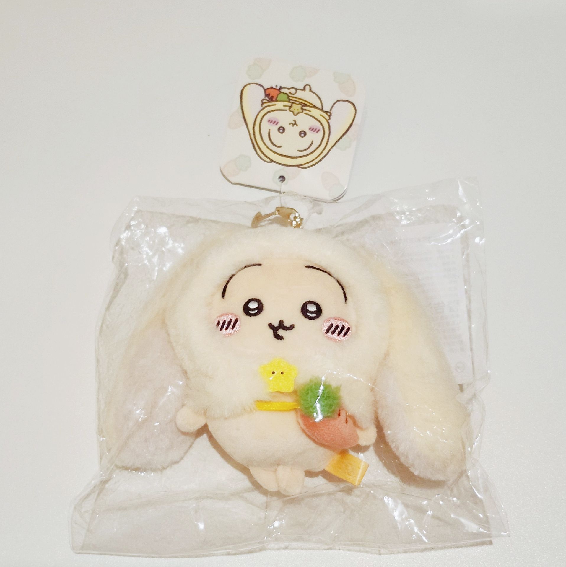 垂耳烏薩奇 台灣限定款🇹🇼