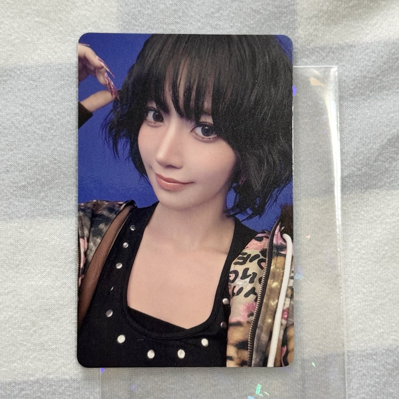 🌸小小盤