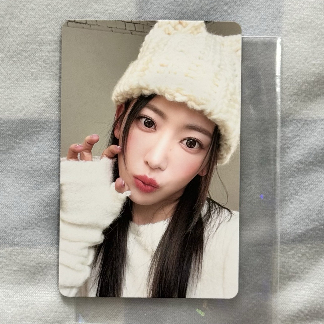 🌸小小盤