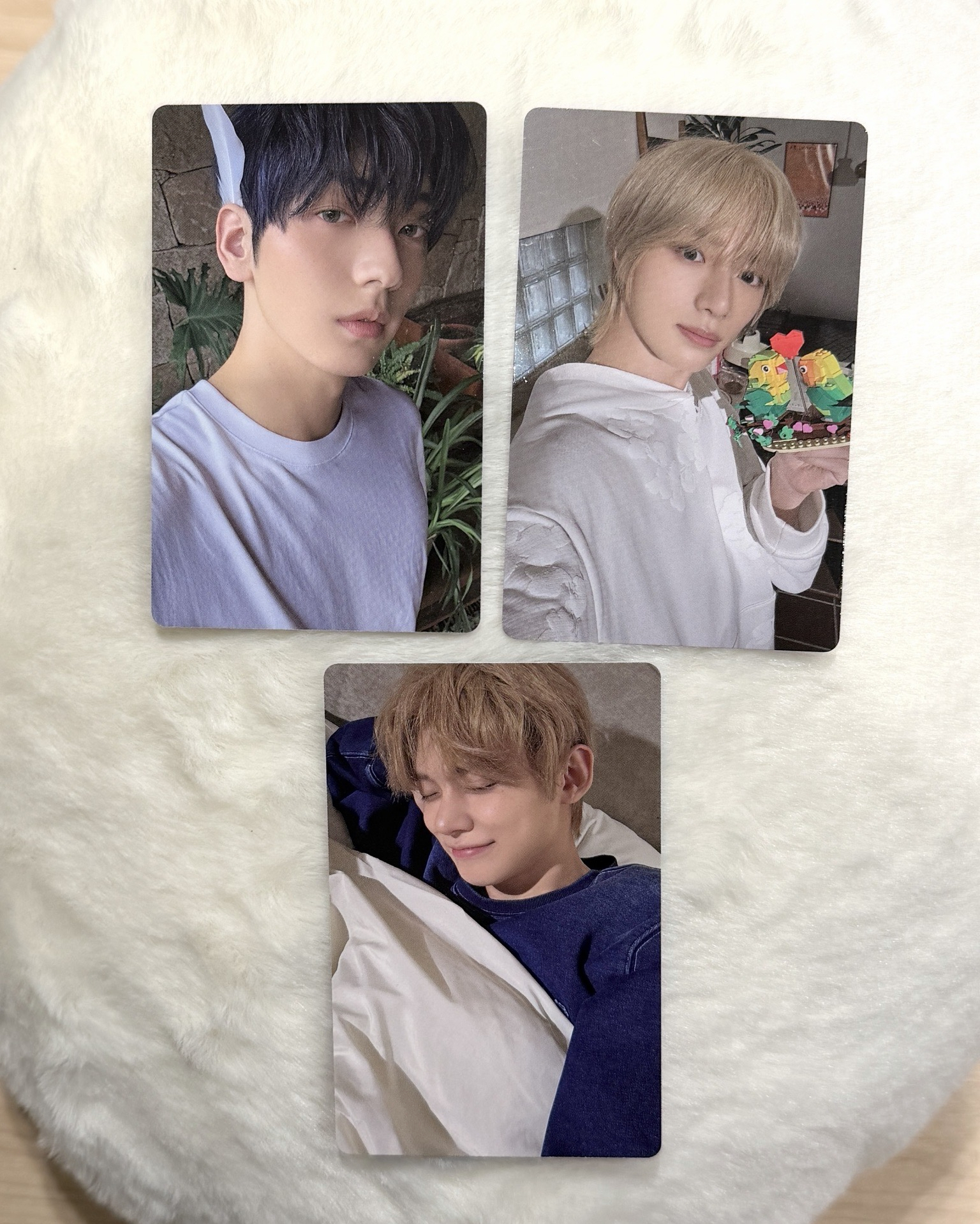 迷七單封 Angel版 專卡