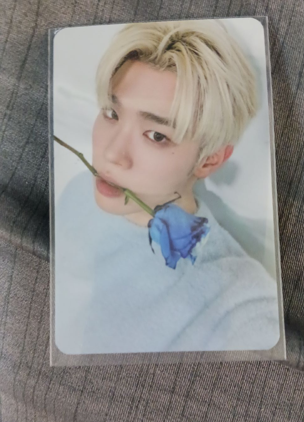 金泰來 會員禮卡