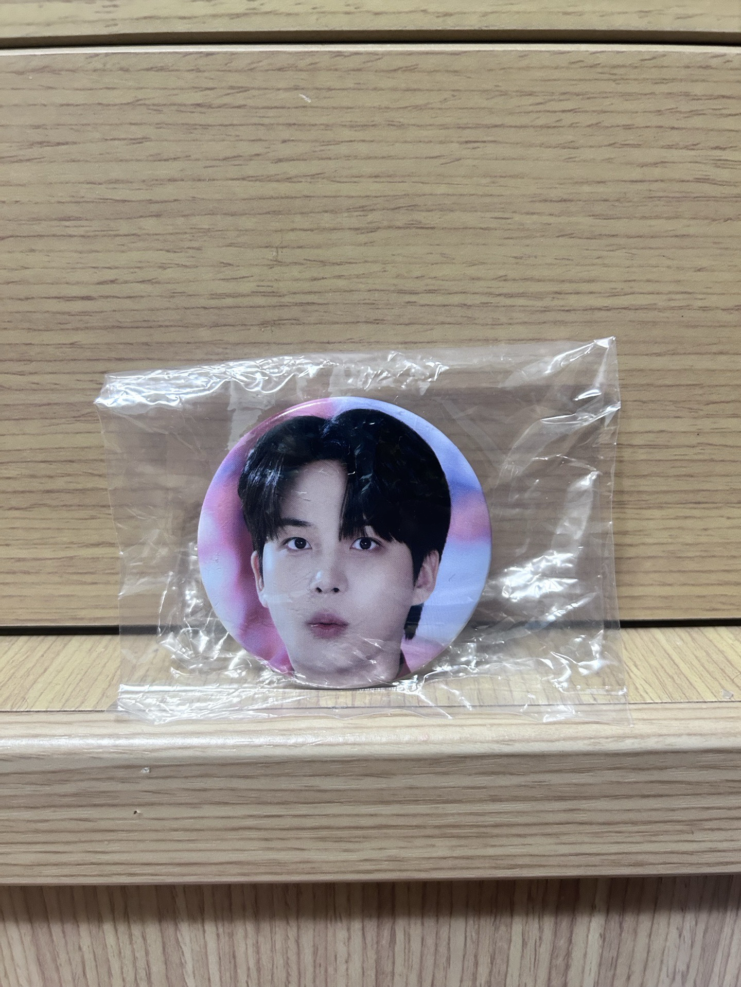 ANITEEZ IN THE CALLING 隨機扭蛋 徽章 鍾浩