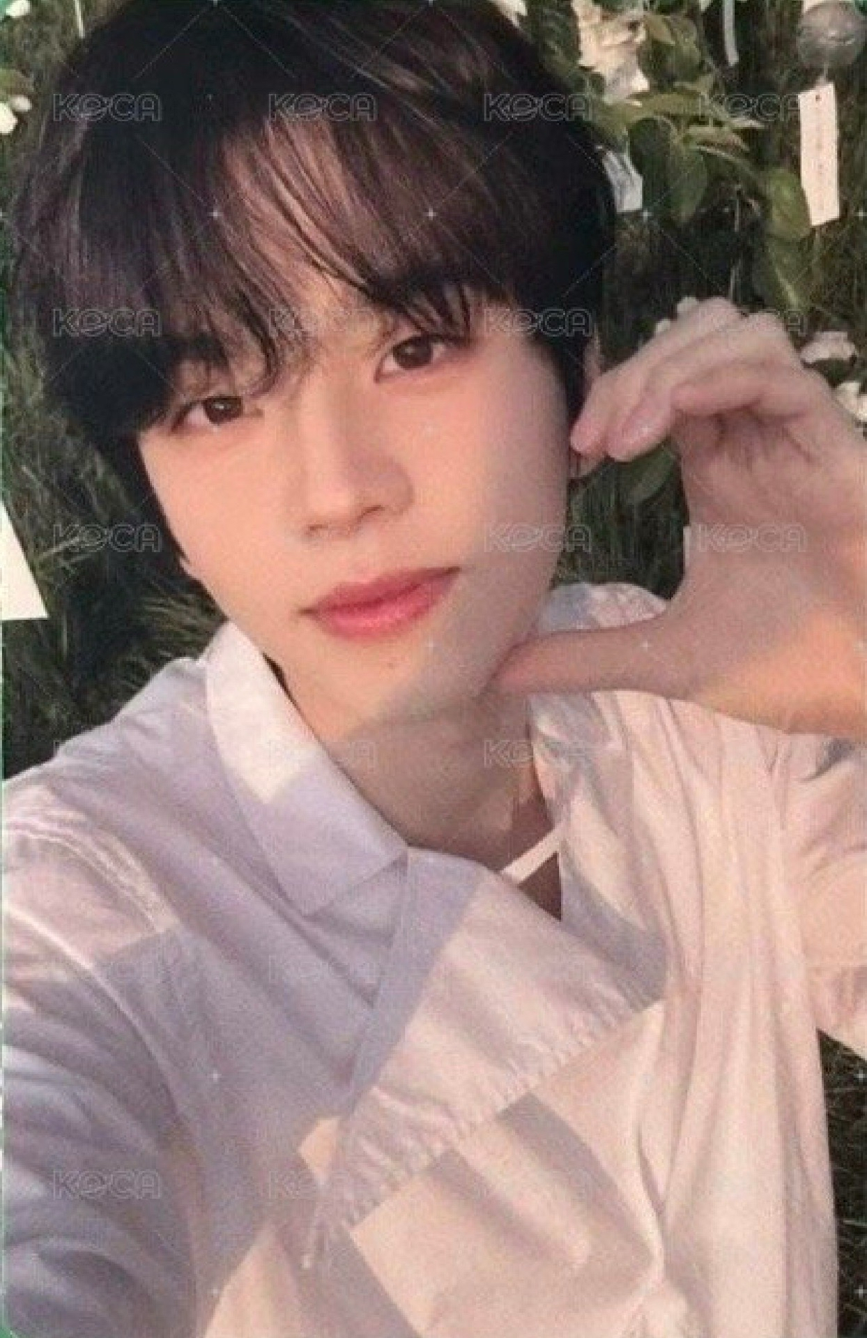 TWS 申惟 YZY清溯 特典