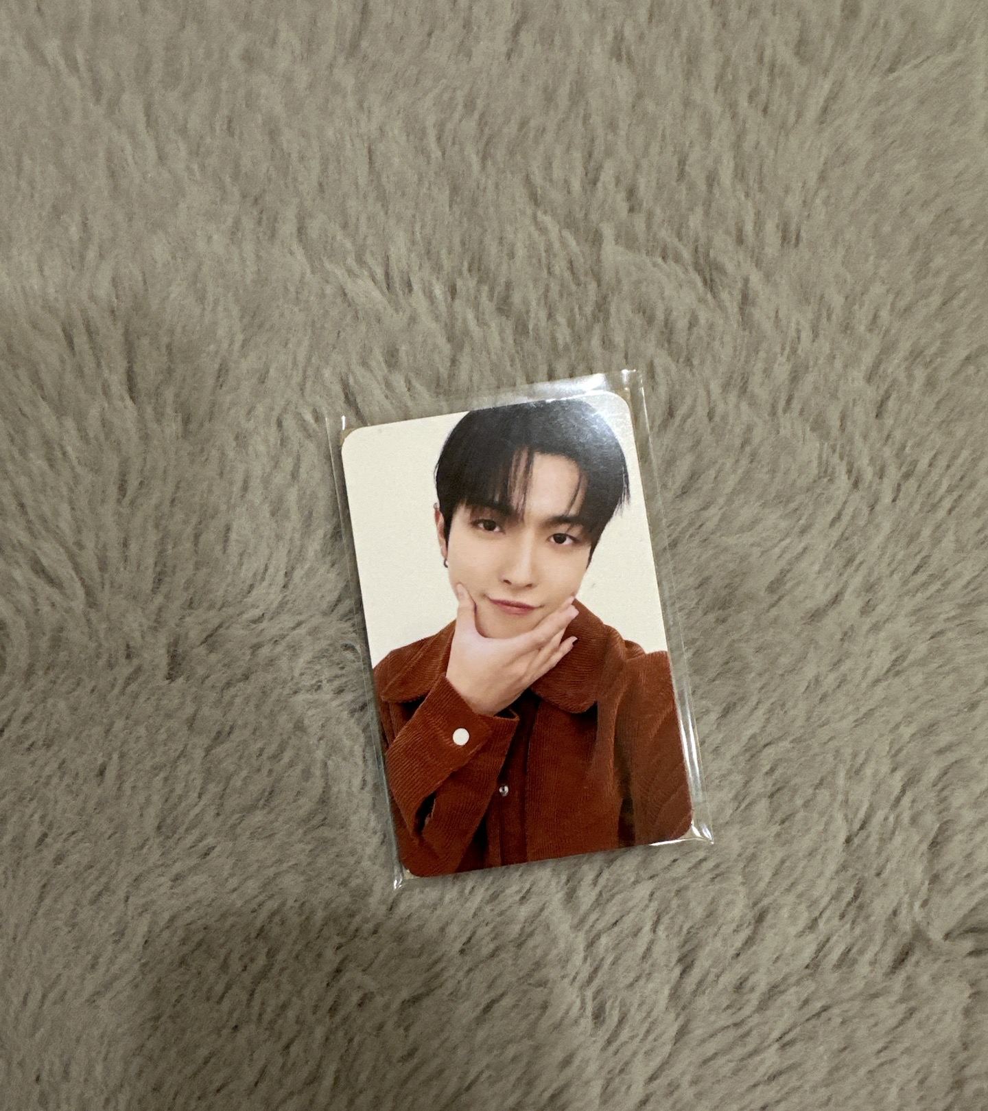 ANITEEZ IN DREAMLAND 大頭吊飾卡（弘中）