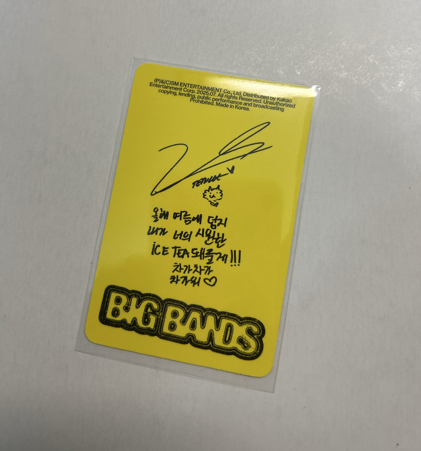 WayV威神V Ten李永欽 Big bands專卡