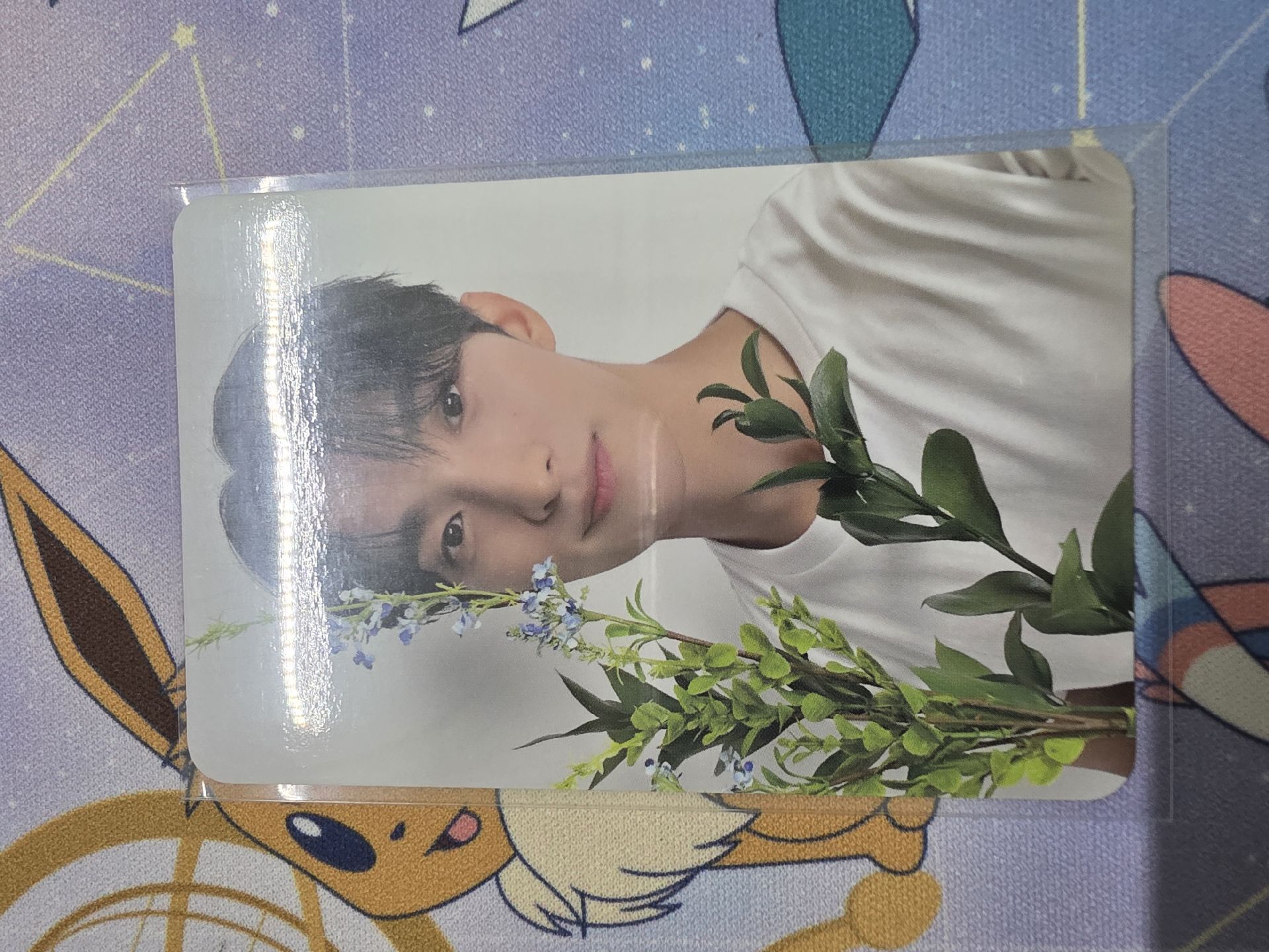 精選專專卡 拿花