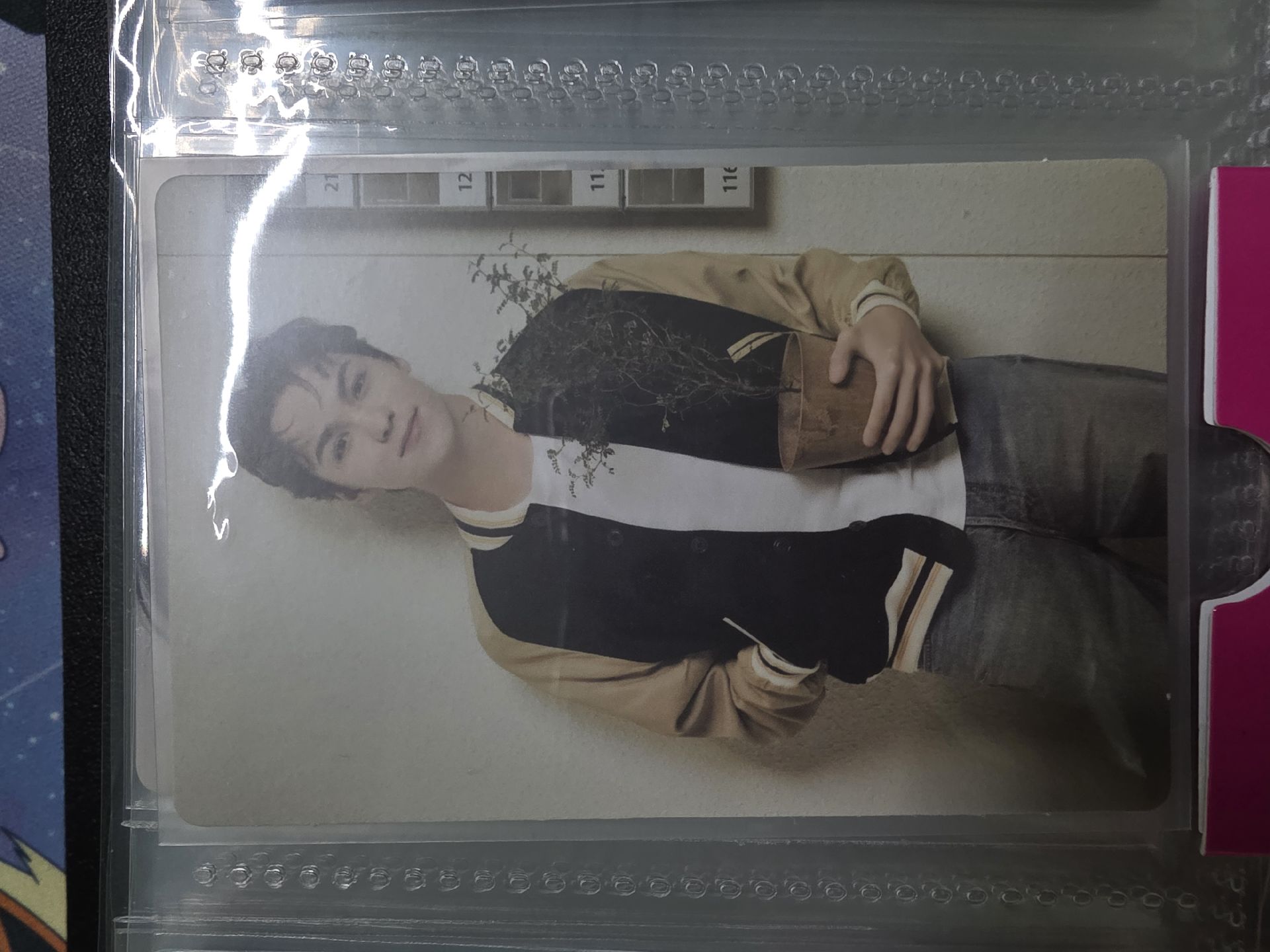 24克拉島 隨機卡