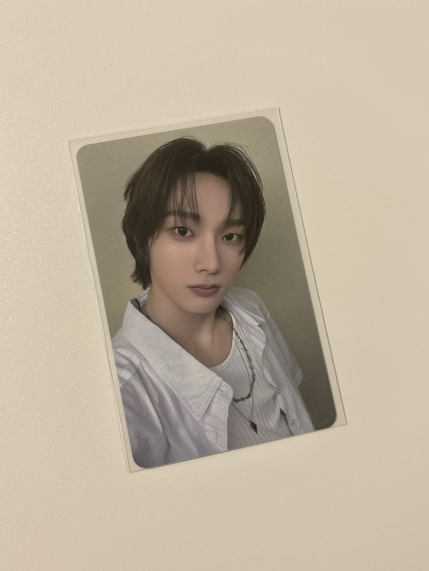 19.99 ms 特別禮 特典卡 