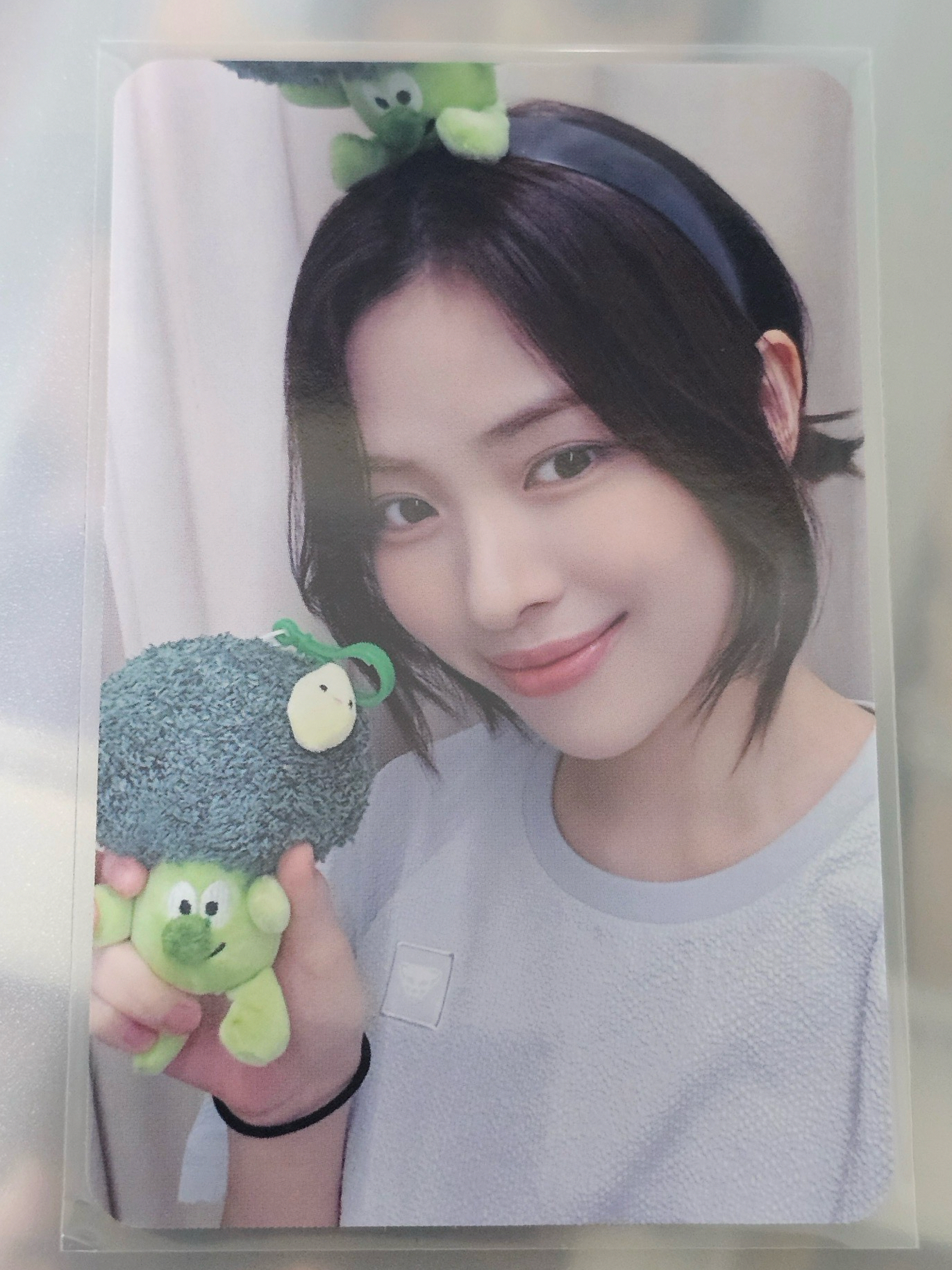 花椰菜特典-申留真