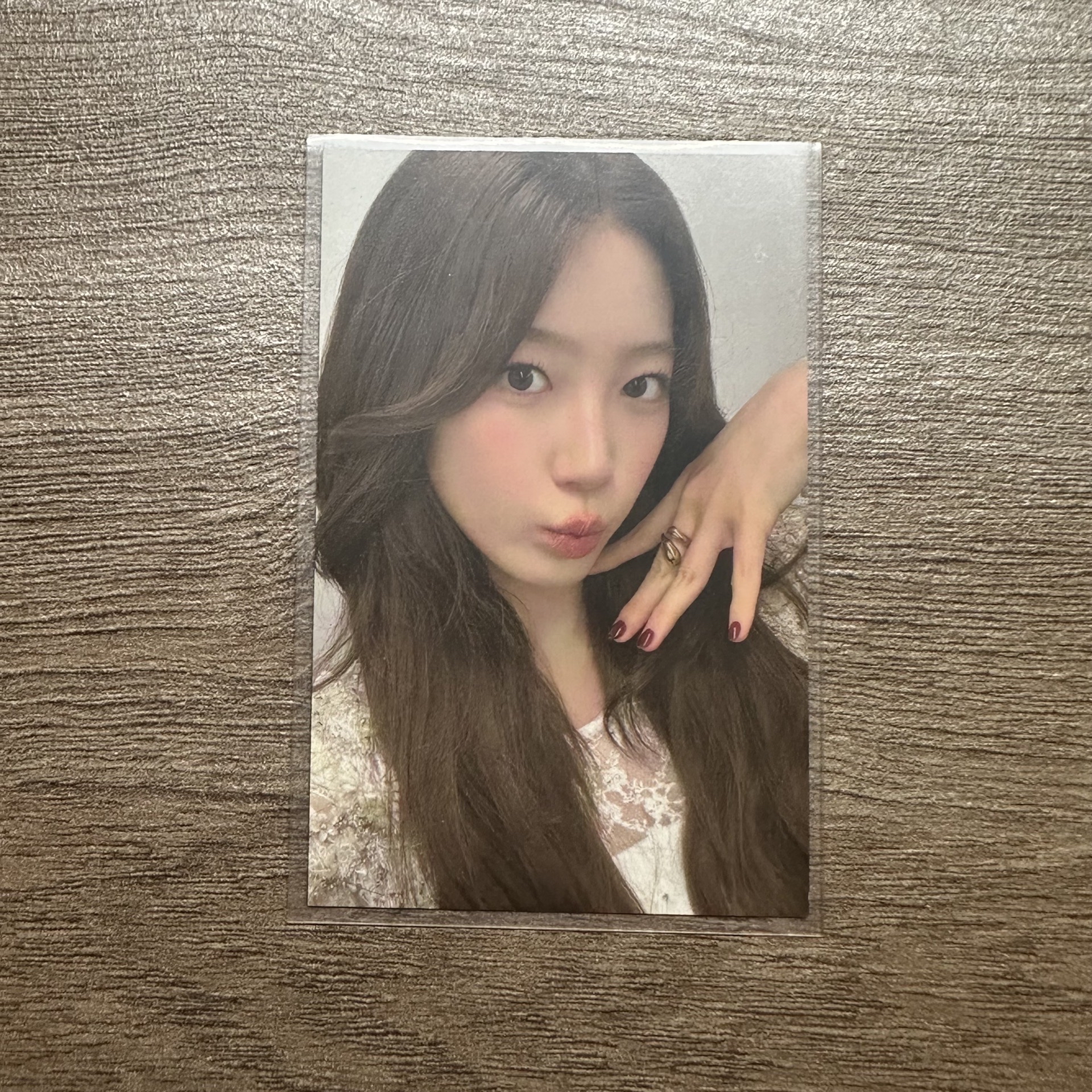 25台北粽卡 一葉