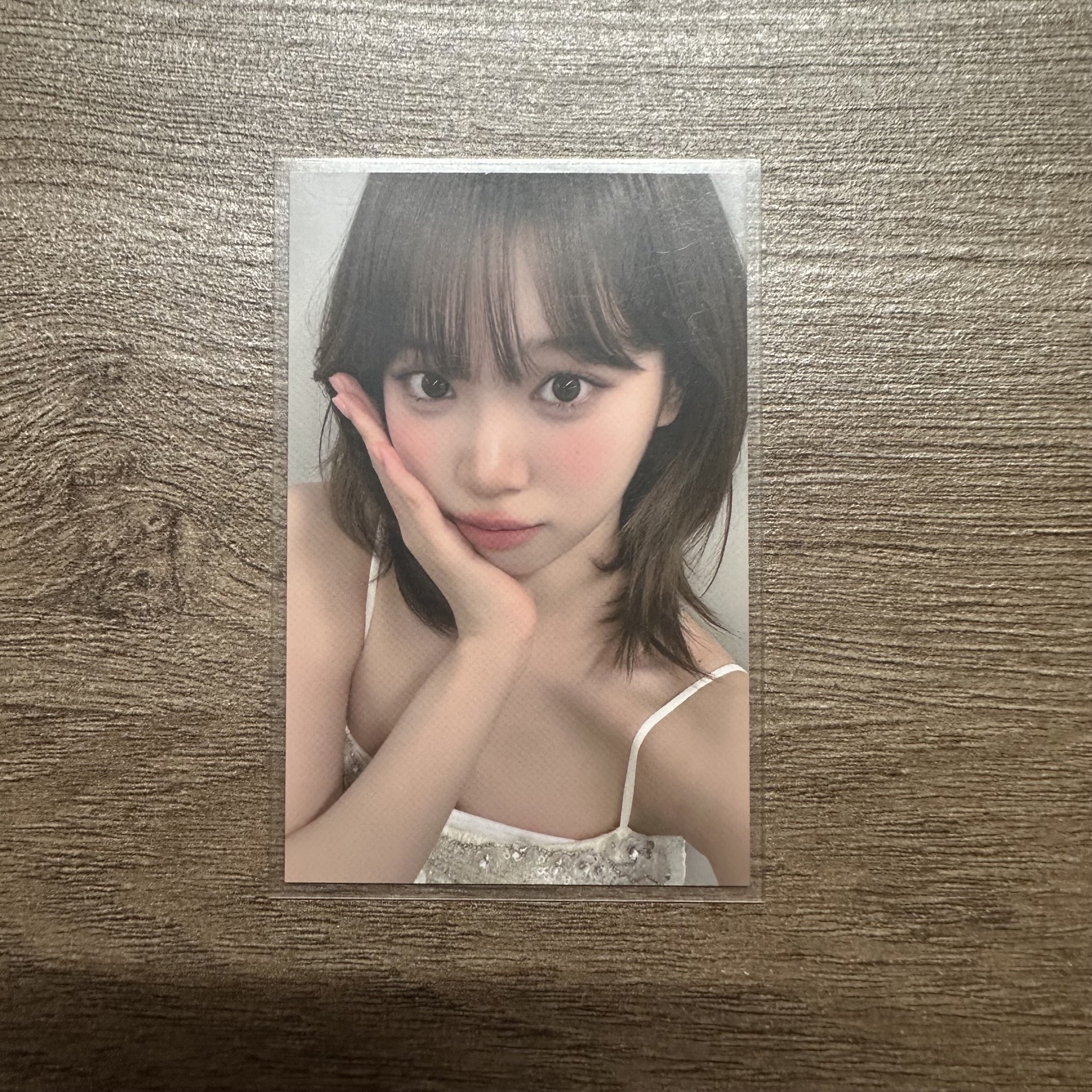 25台北粽卡 采源