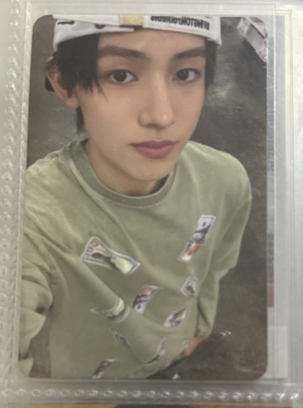 yeti萌萌綠色小貓