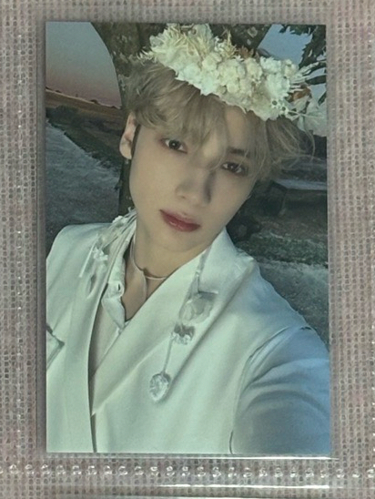 圖一左中中中 24巡迴台灣場粽卡（需綁1張）