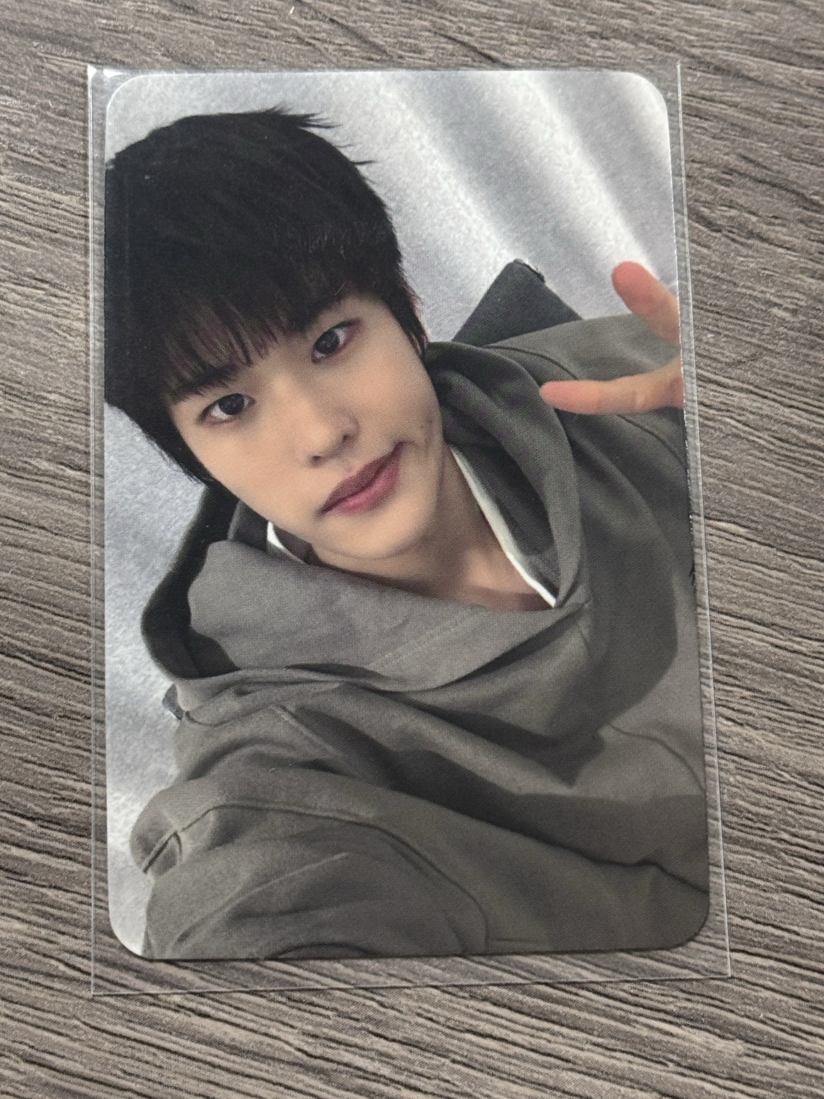 星河2.0 中文卡背 姐姐是小狗的偏愛！