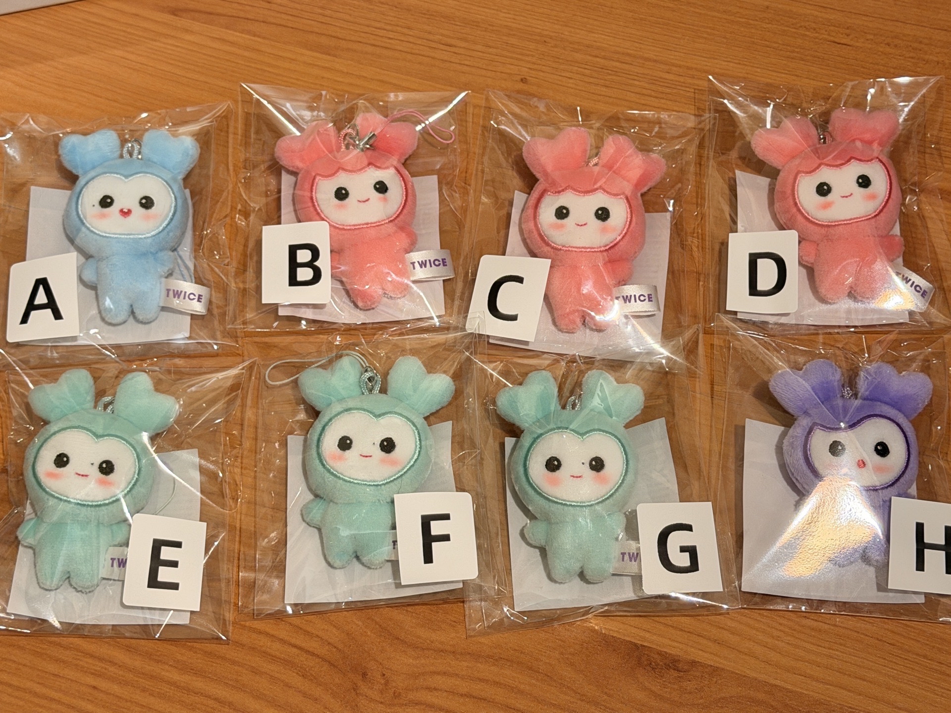 Twice豆豆眼娃 林娜璉 平井桃 Momo Sana Mina 湊崎紗夏 名井南 FM週年