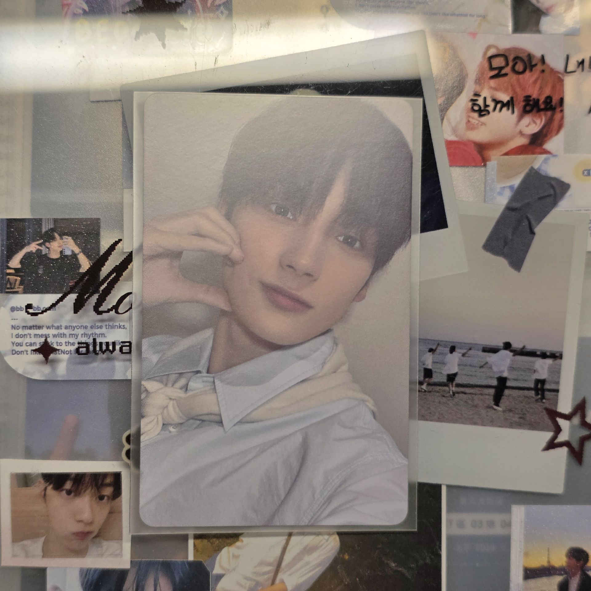 EP.2 日巡 會員禮卡 新入會 寧