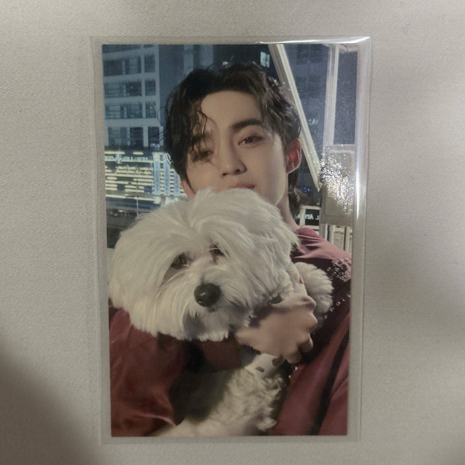 東京場限紅薯哲