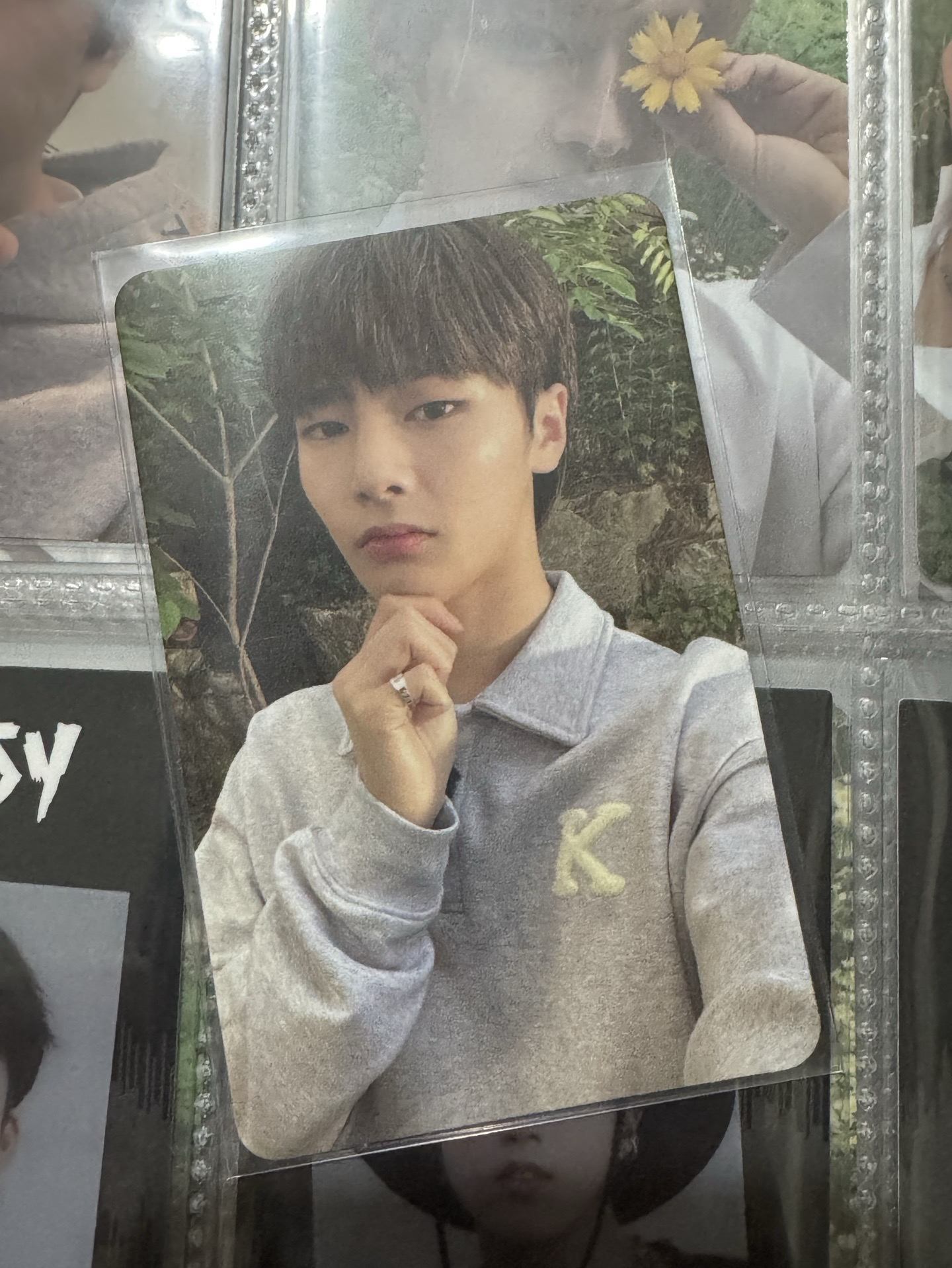 一定是你 精寅NOEASY專卡