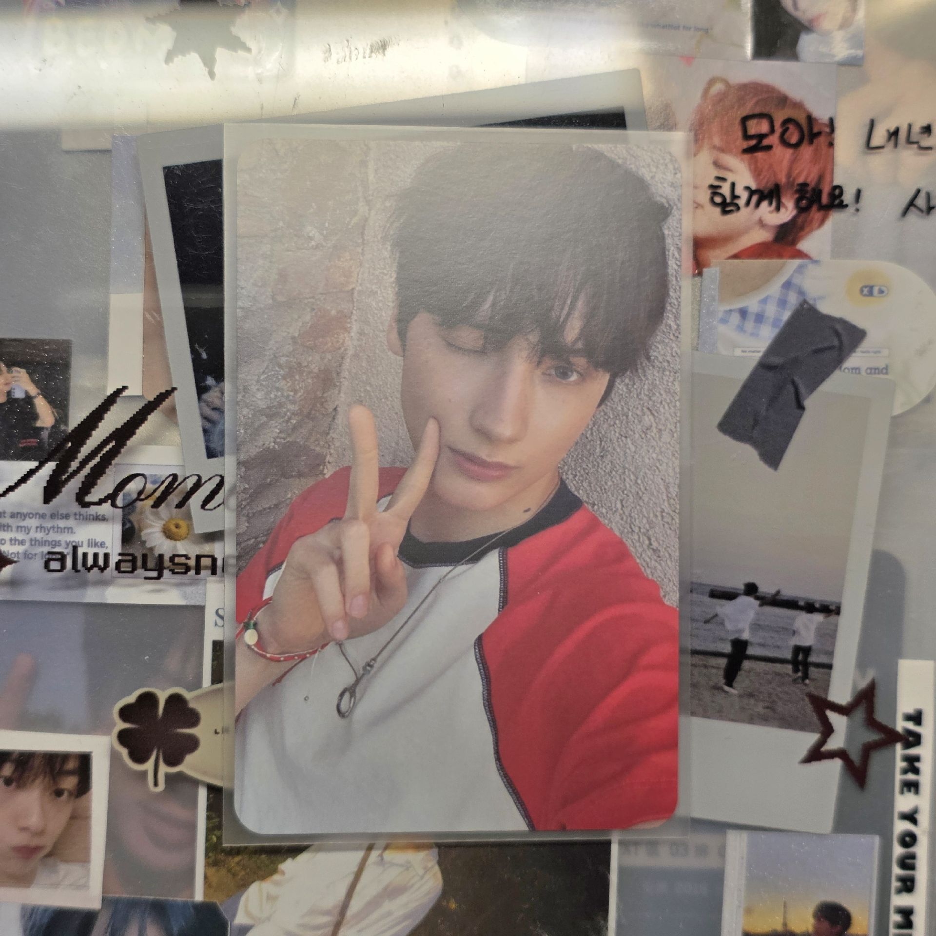 愛之語 專輯卡 寧