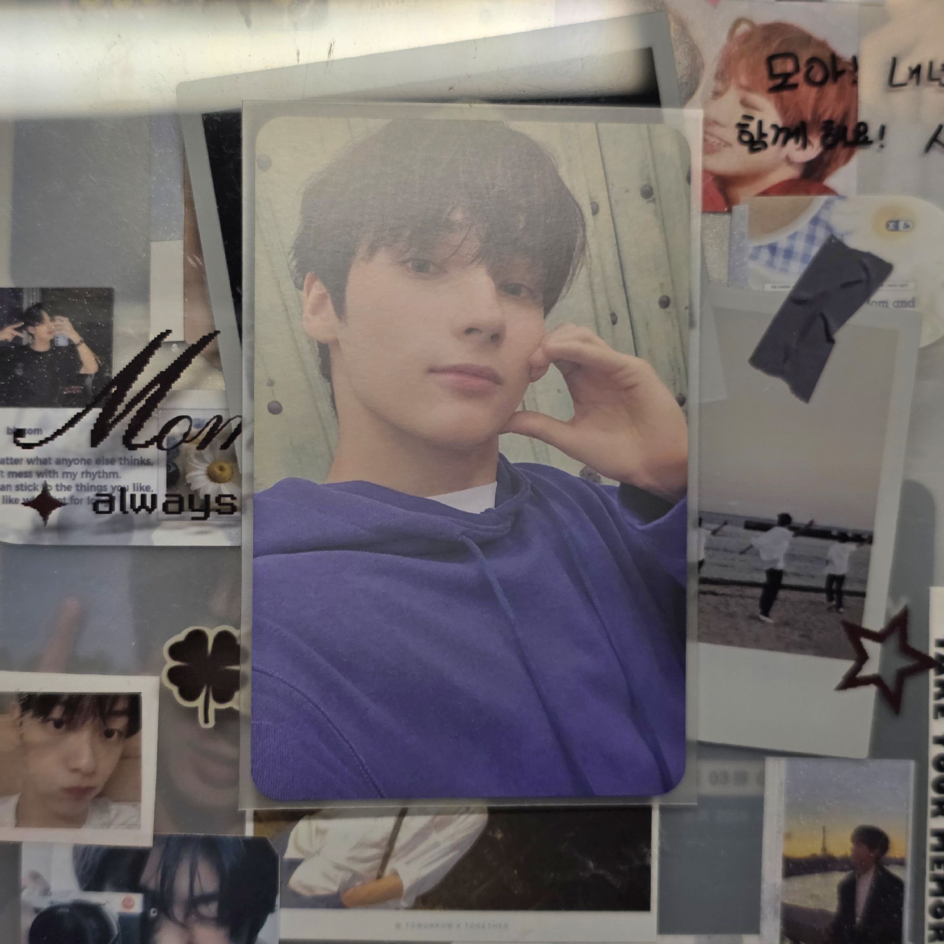 愛之語 專輯卡 寧