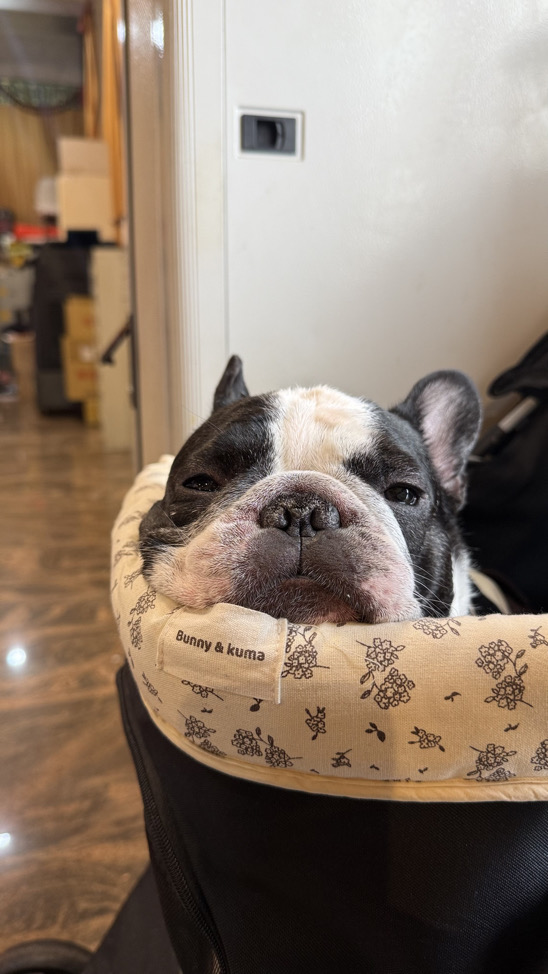 YU（購買前先看自介）