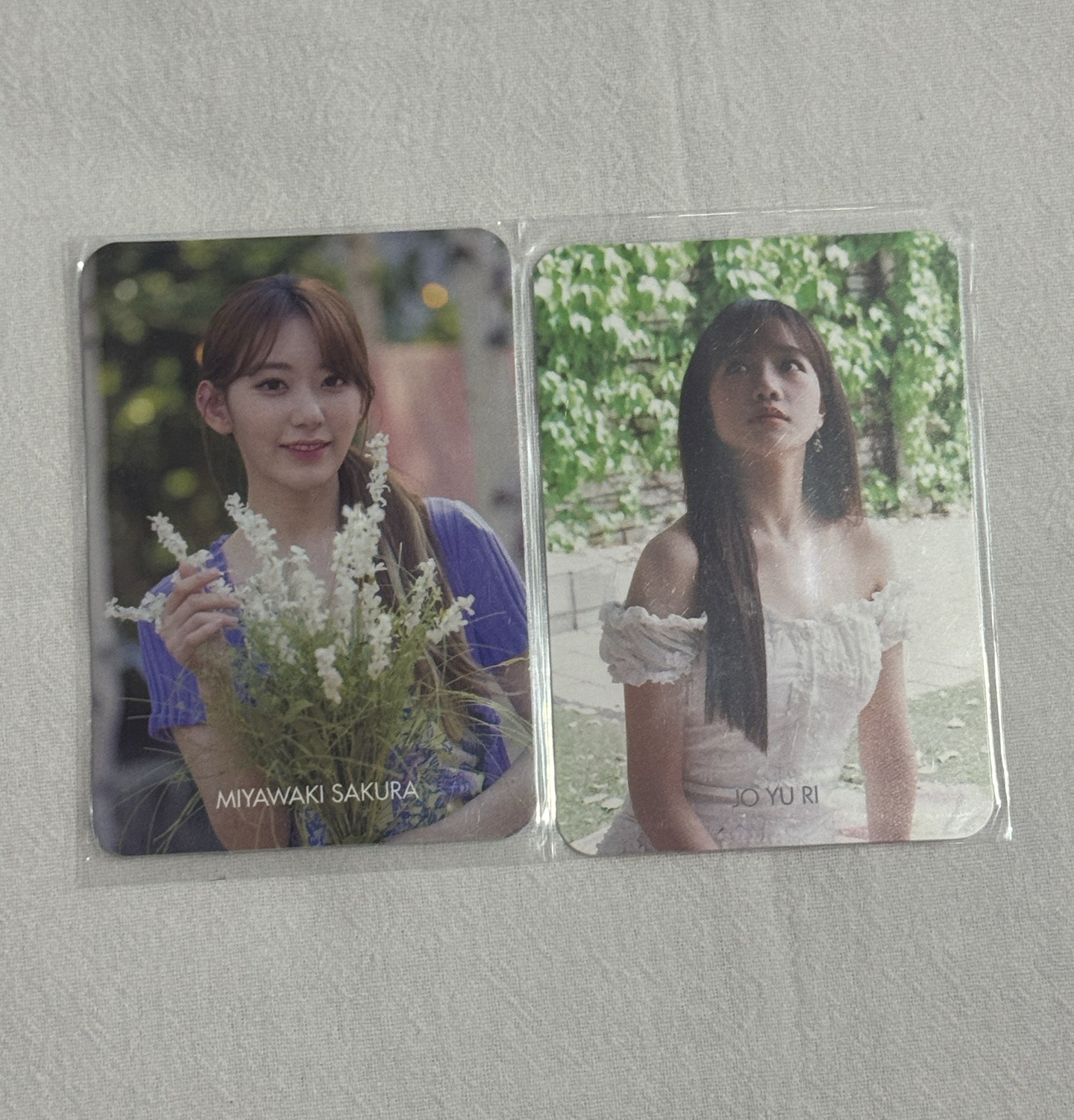 舊DICON 日版 雜誌卡 雙面卡 櫻花 柔理