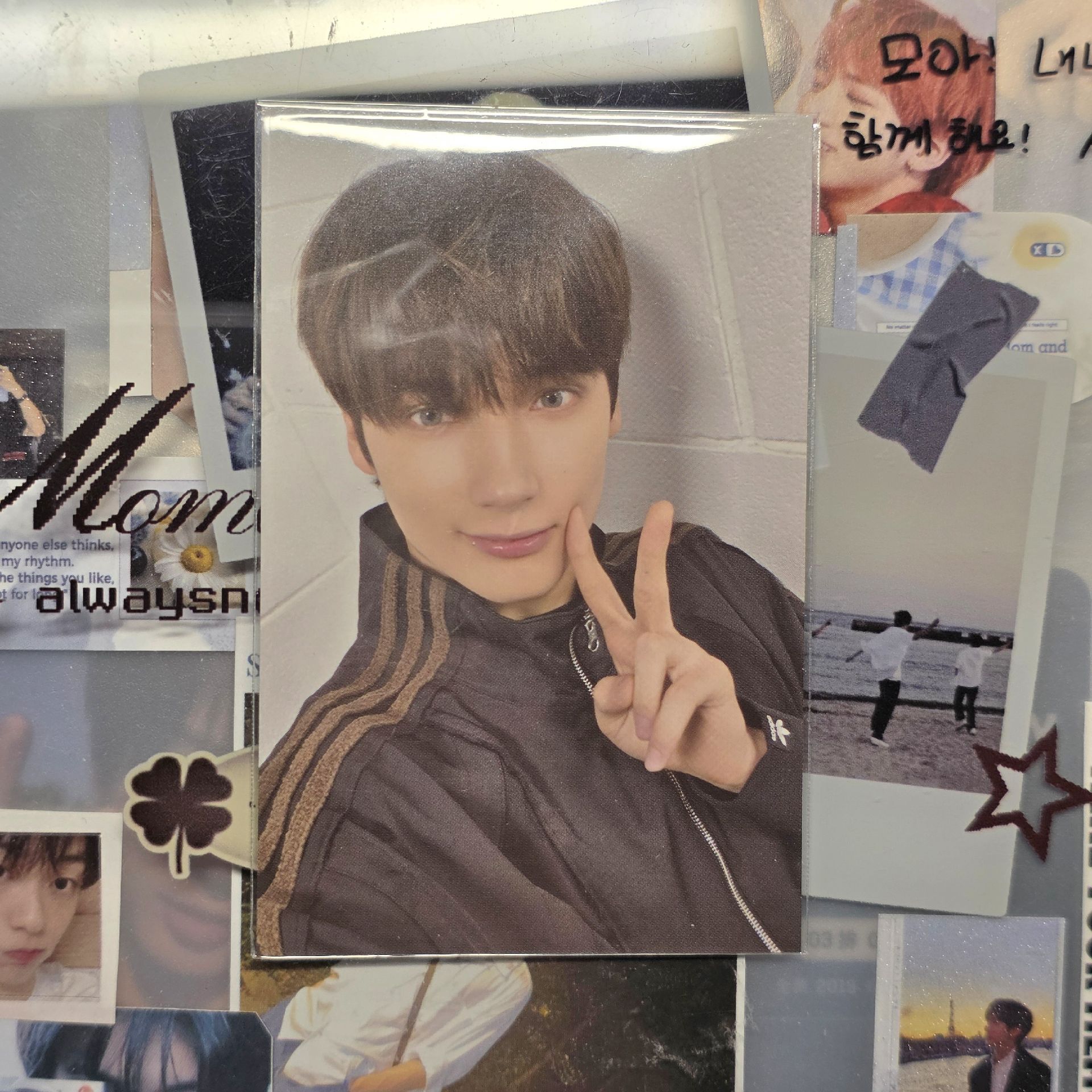 FINDING MOA 滿額卡 寧 （原袋未拆）