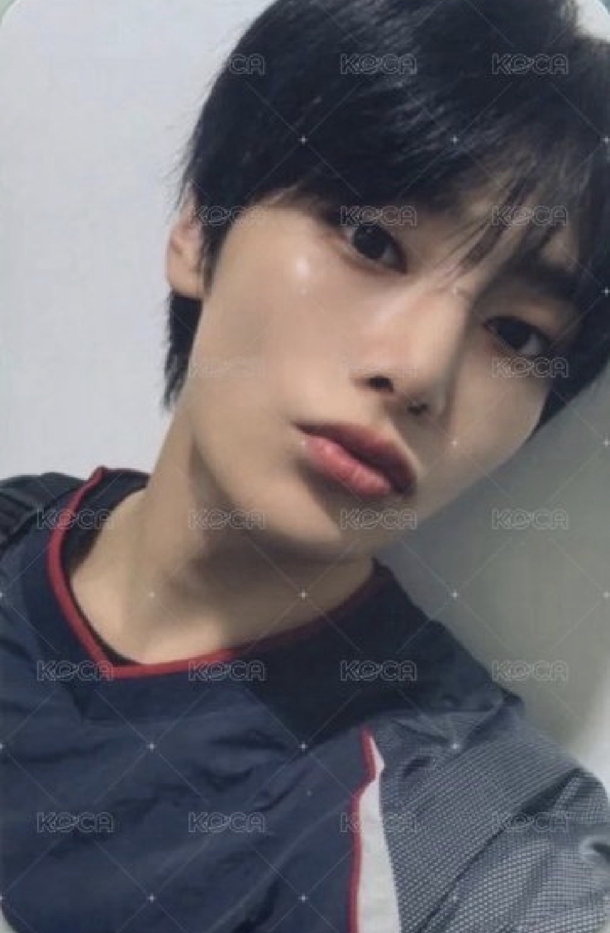 實物很好看的一張小羊！