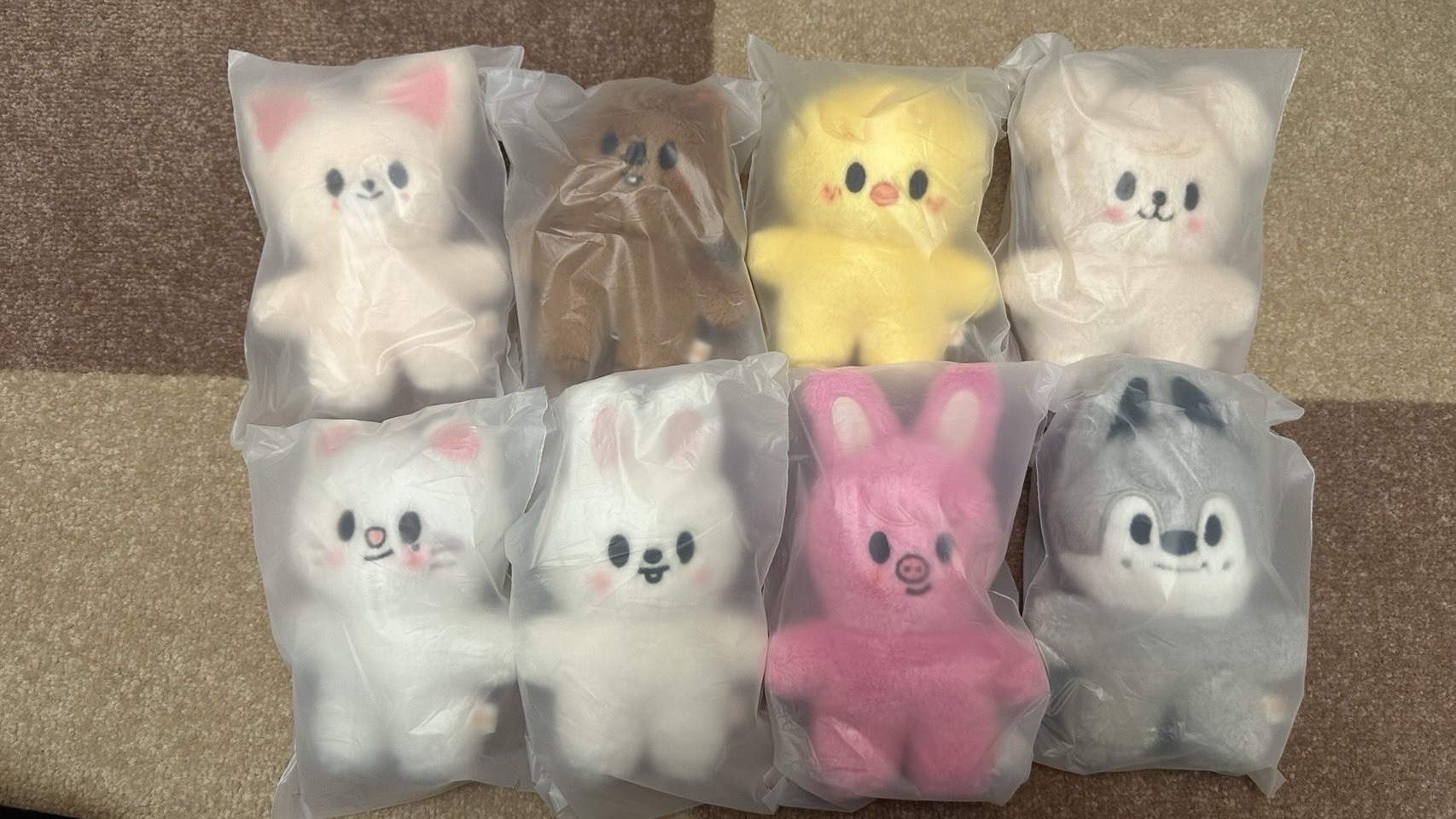 全新未拆 Skzoo磁吸站姿娃娃