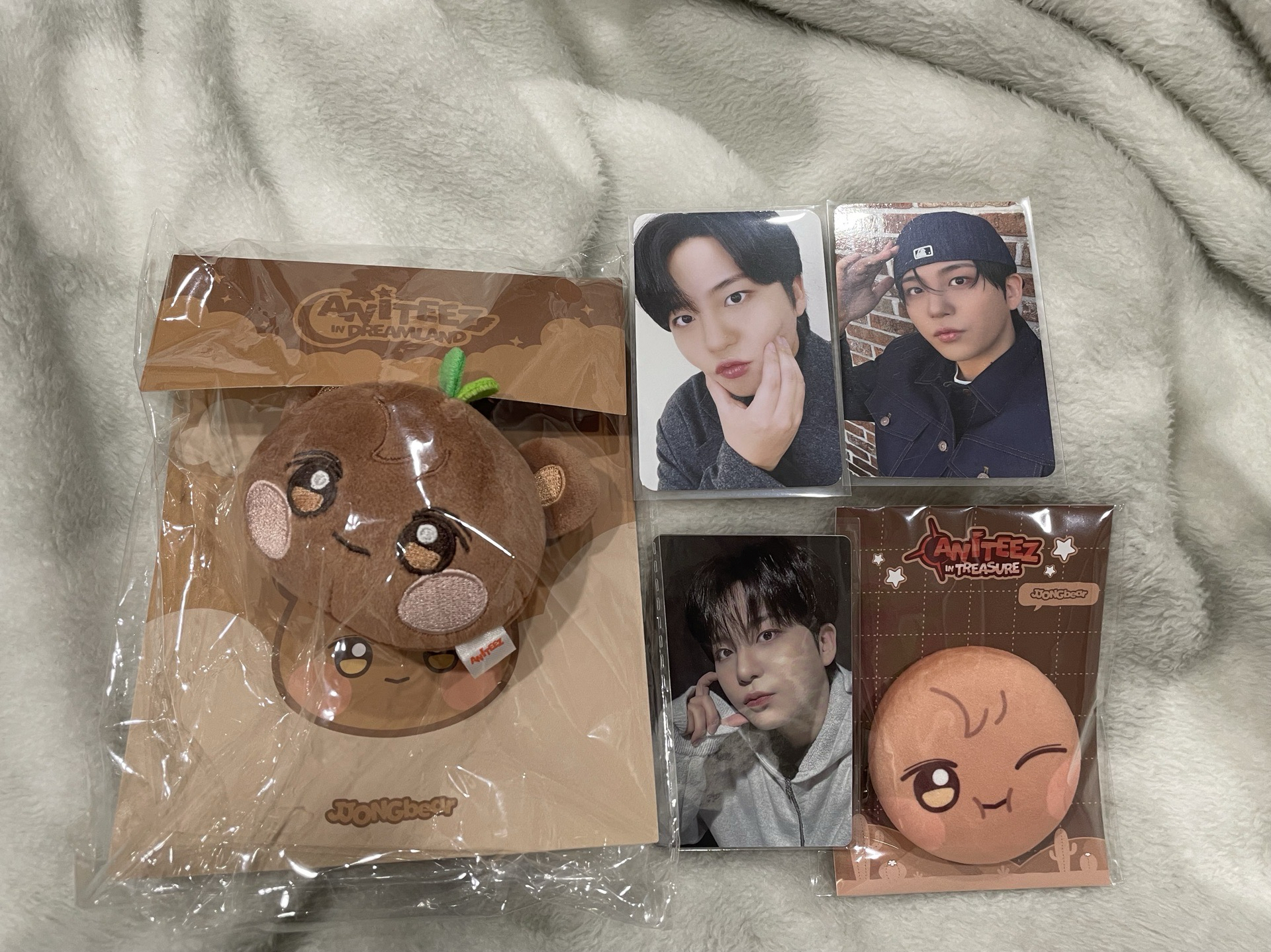 ANITEEZ IN DREAMLAND 鑰匙圈吊飾 大頭吊飾 鍾浩盤