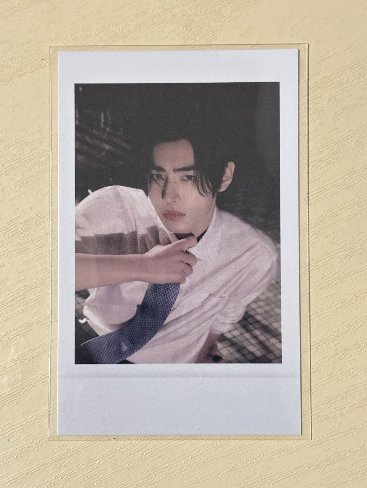 暗月特別專am特典訓