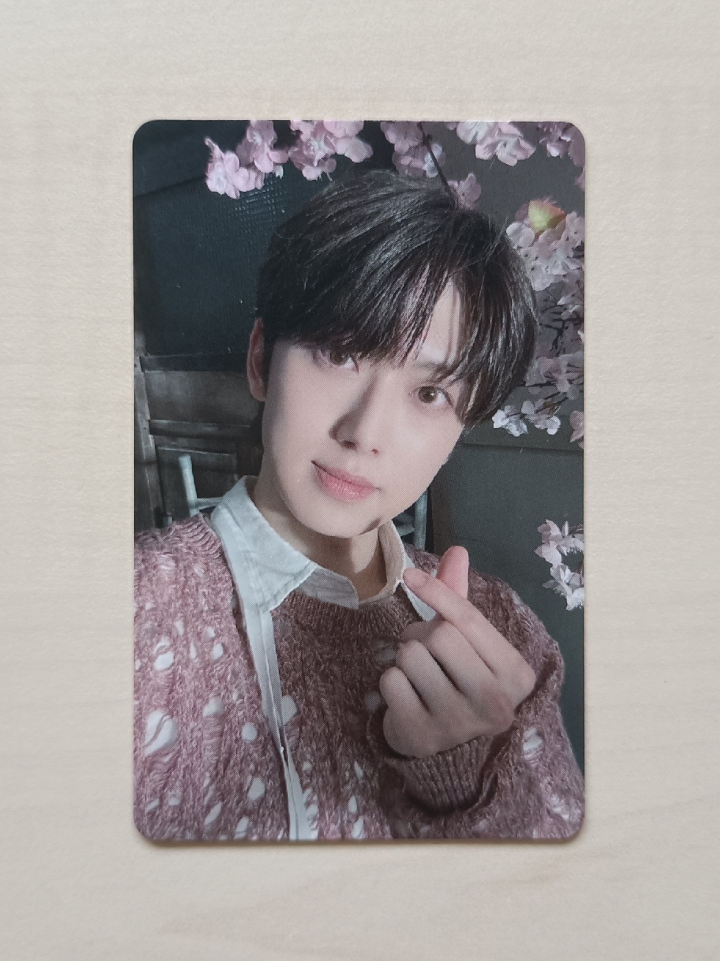 五月雨wvs fuma小卡