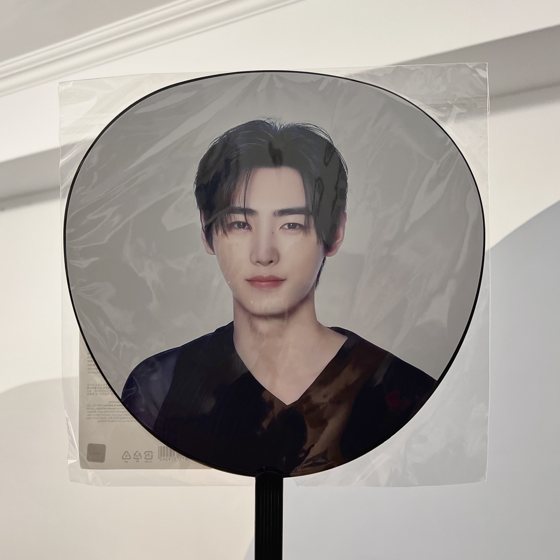 朴成訓 WTL SUMMER 日巡扇