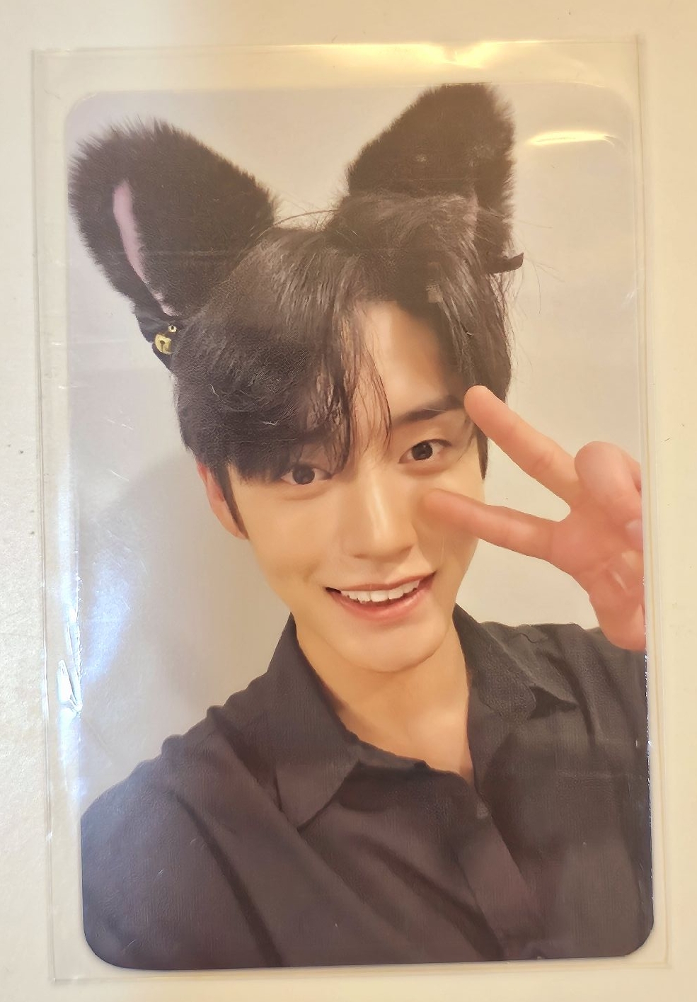 金地雄 貓耳 特典卡