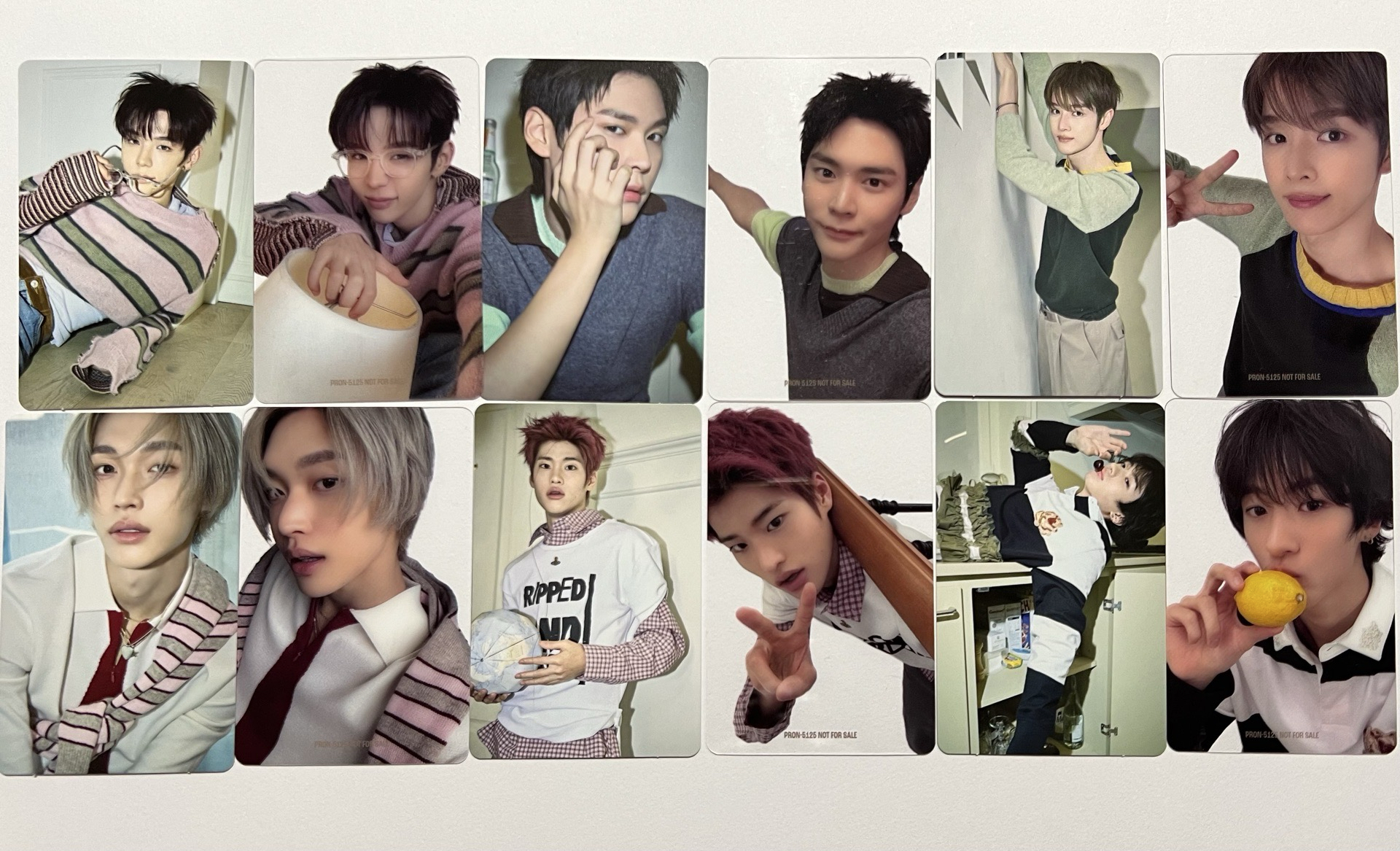 東蛋限定專 全專含小卡