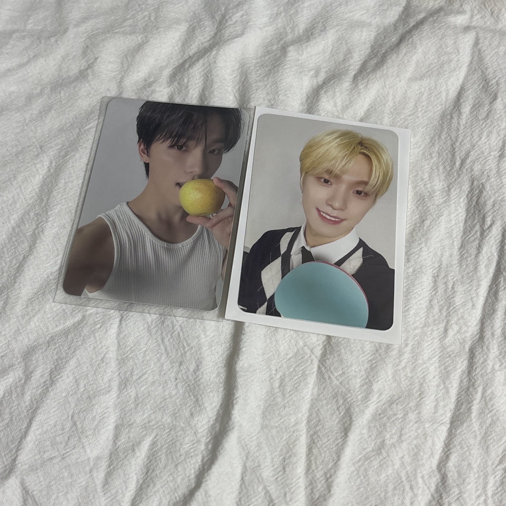 17｜李燦小卡 🦕