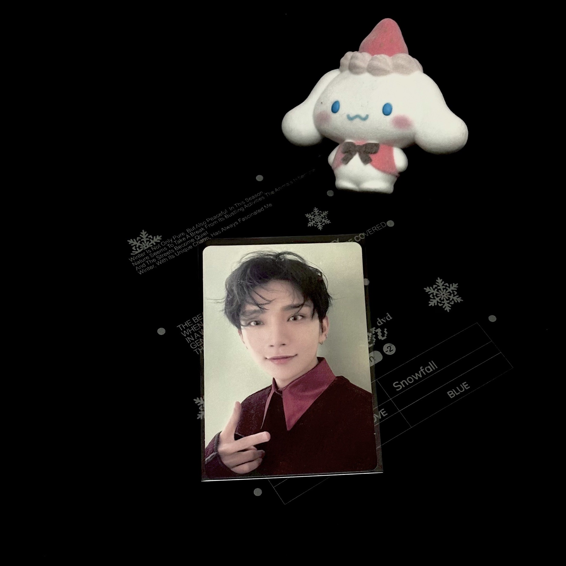 洪知秀｜Not Alone｜初回B