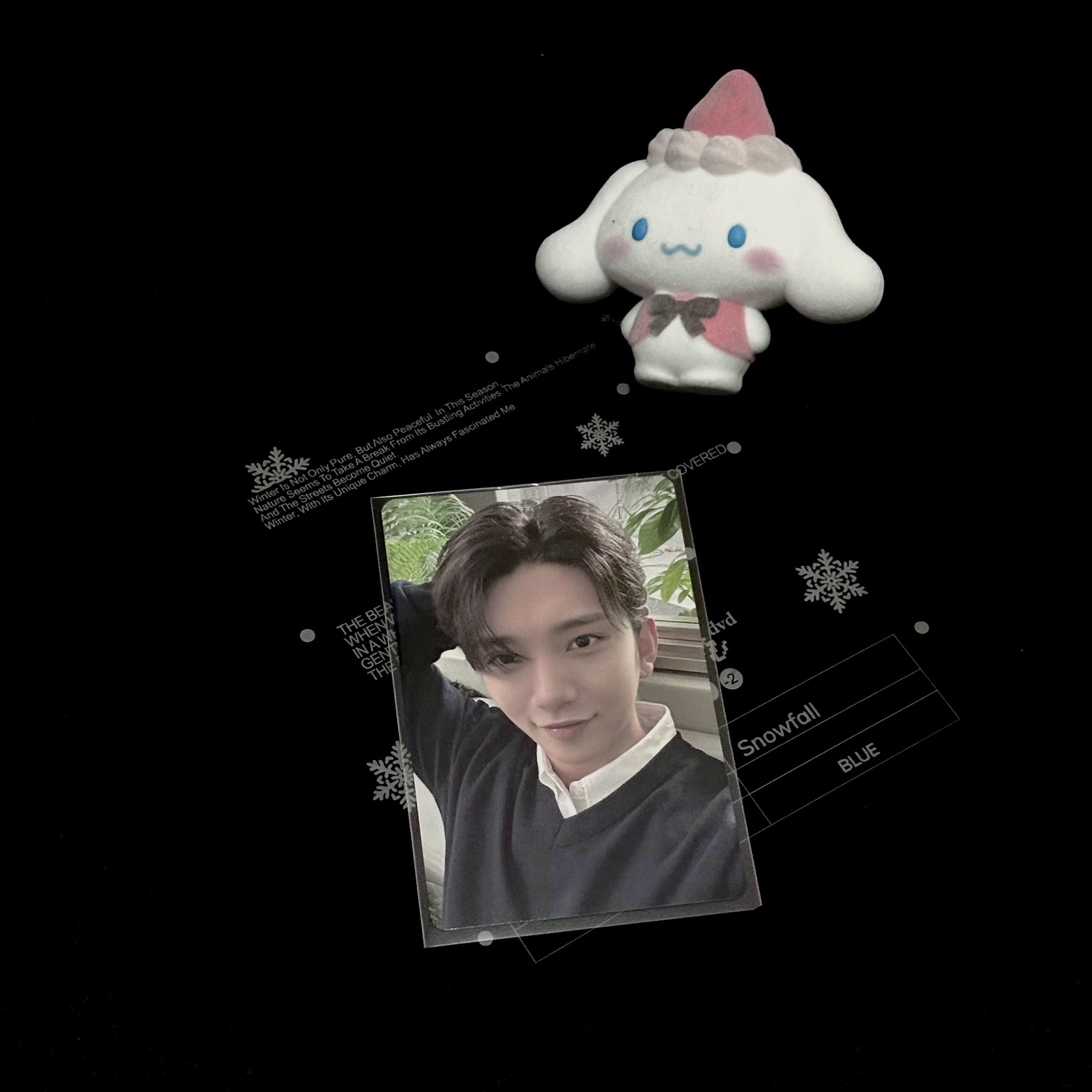 洪知秀｜消費期限｜塔店特典