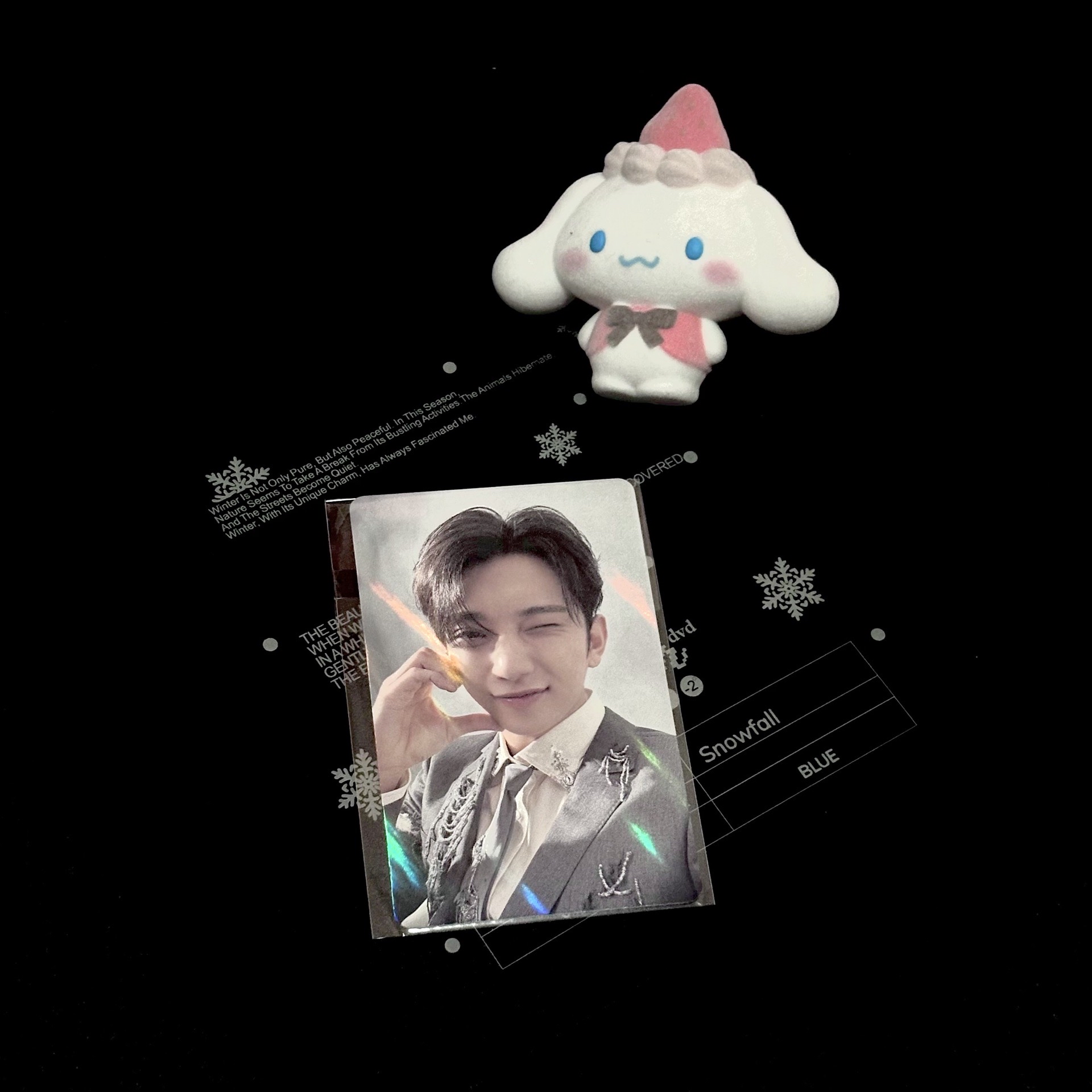 洪知秀｜消費期限｜wvsjp特典