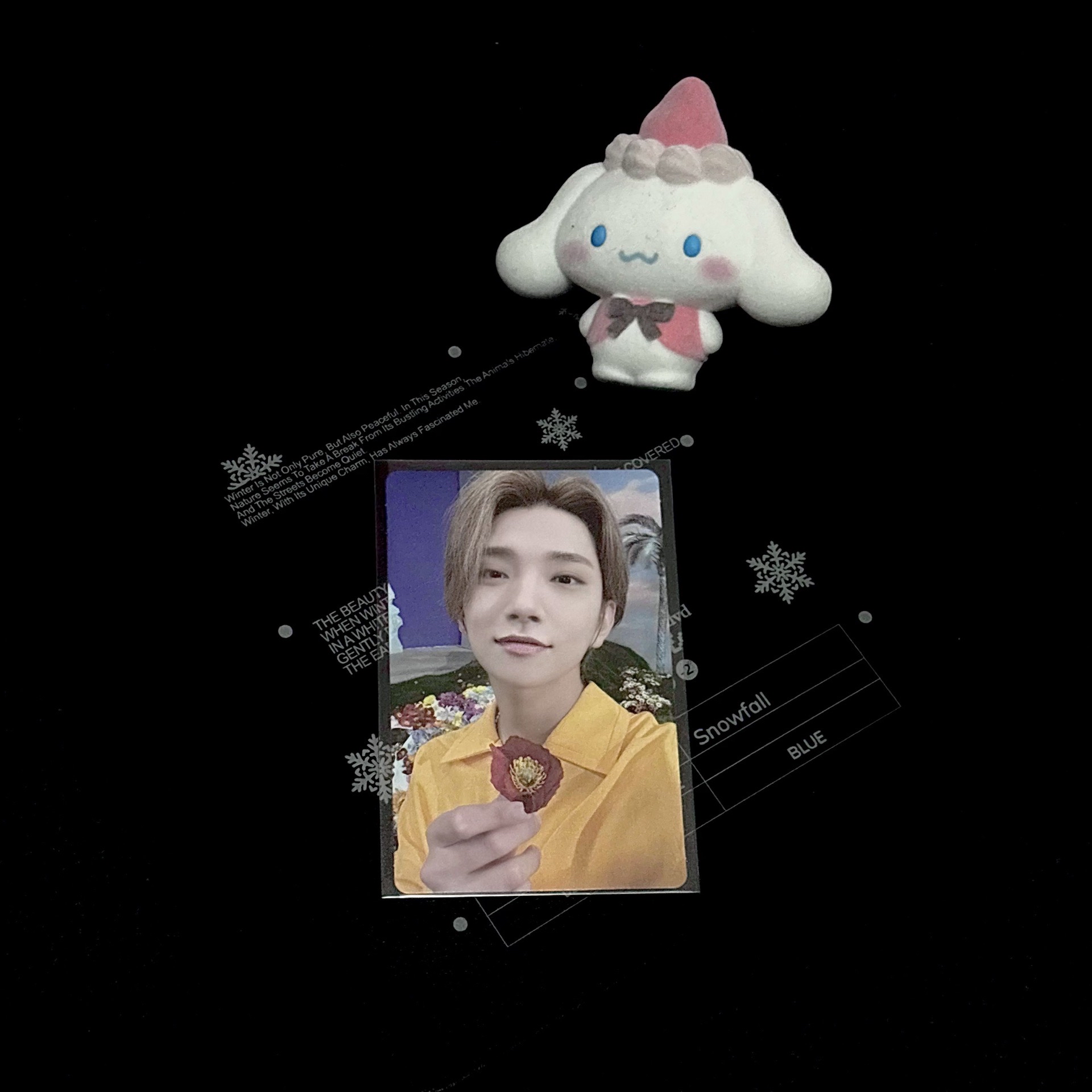 洪知秀｜正四後續｜kit