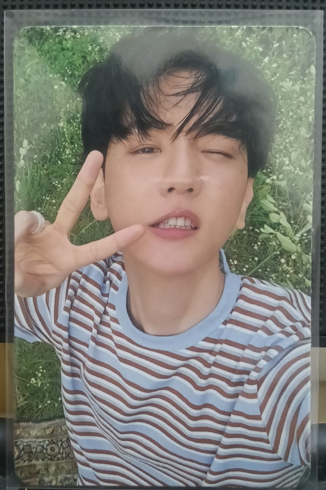 bolo4 專輯卡 WORLD VER