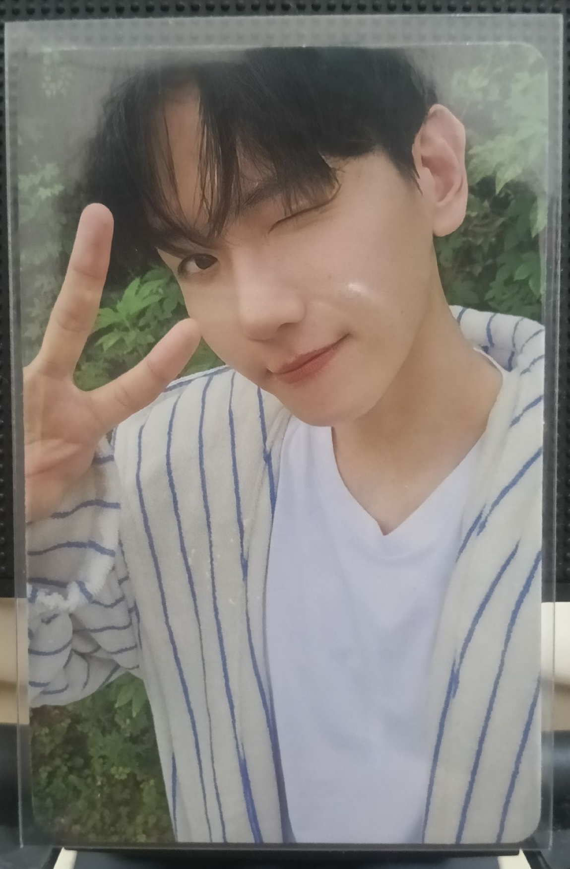 bolo4 專輯卡 Pineapple ver.